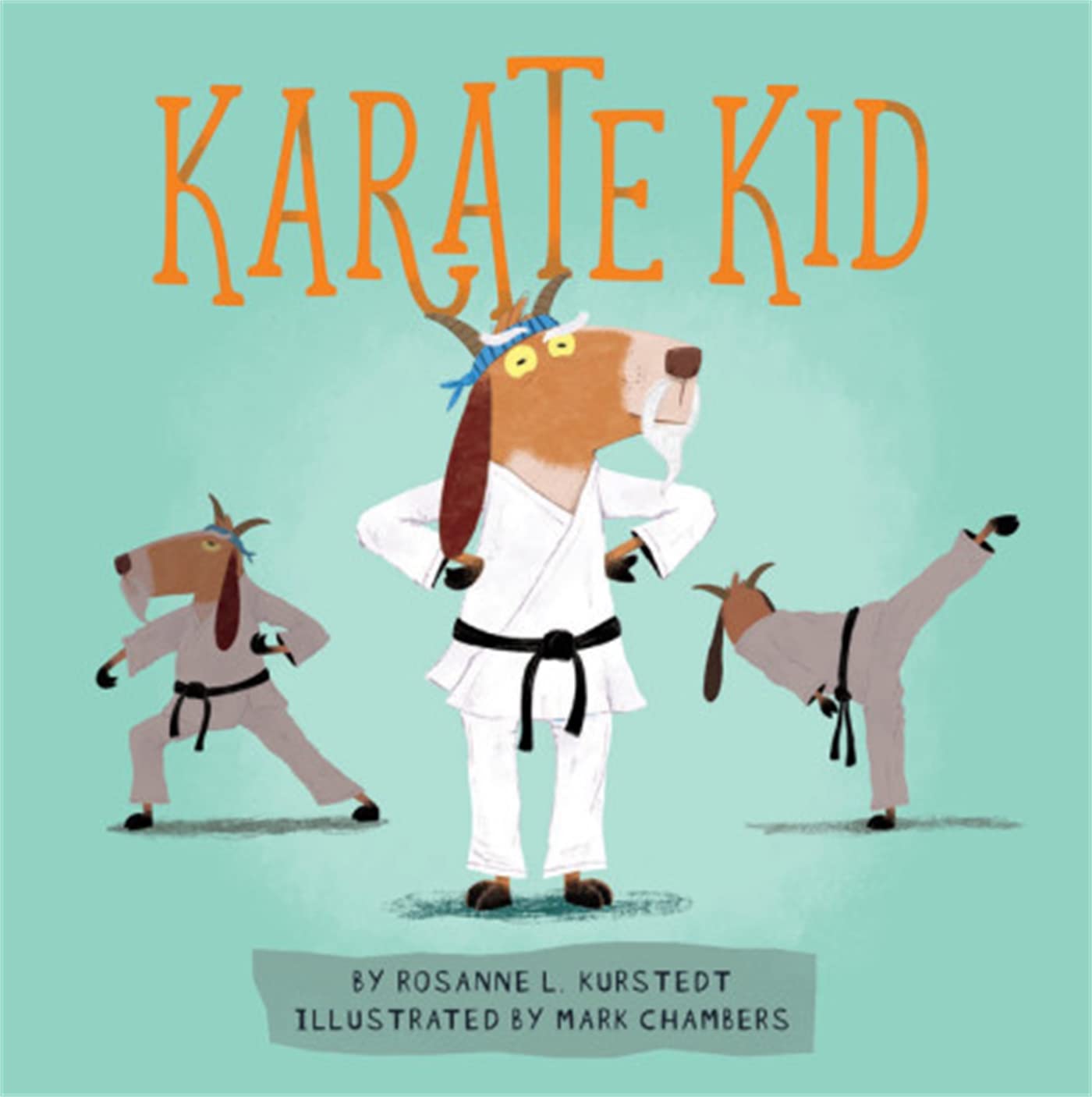 Karate Kid - 6043