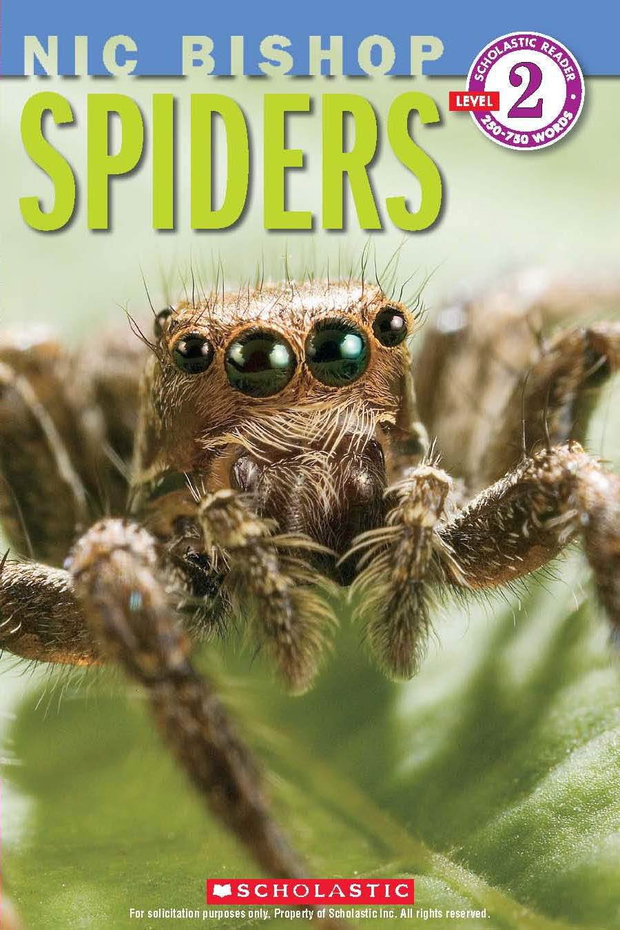 Spiders (Nic Bishop: Scholastic Reader, Level 2) - 6181