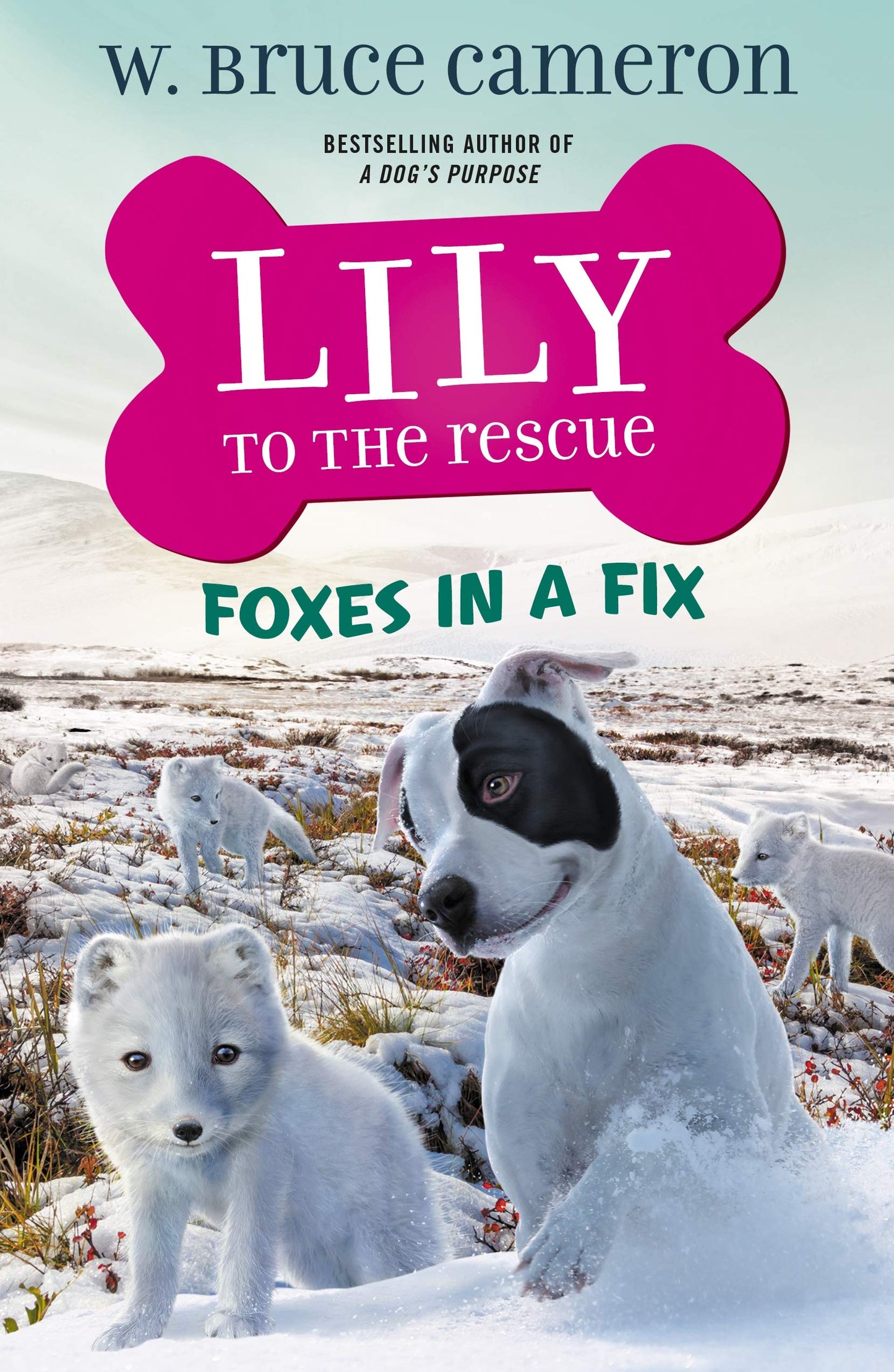 Lily to the Rescue: Foxes in a Fix (Lily to the Rescue!, 7) - 4941