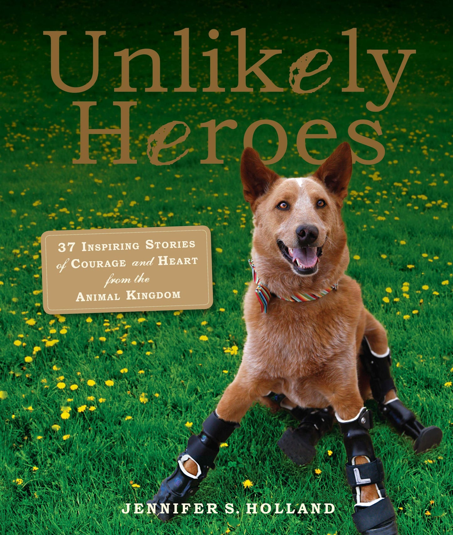 UNLIKELY HEROES: 37 INSPIRING ST - 2797