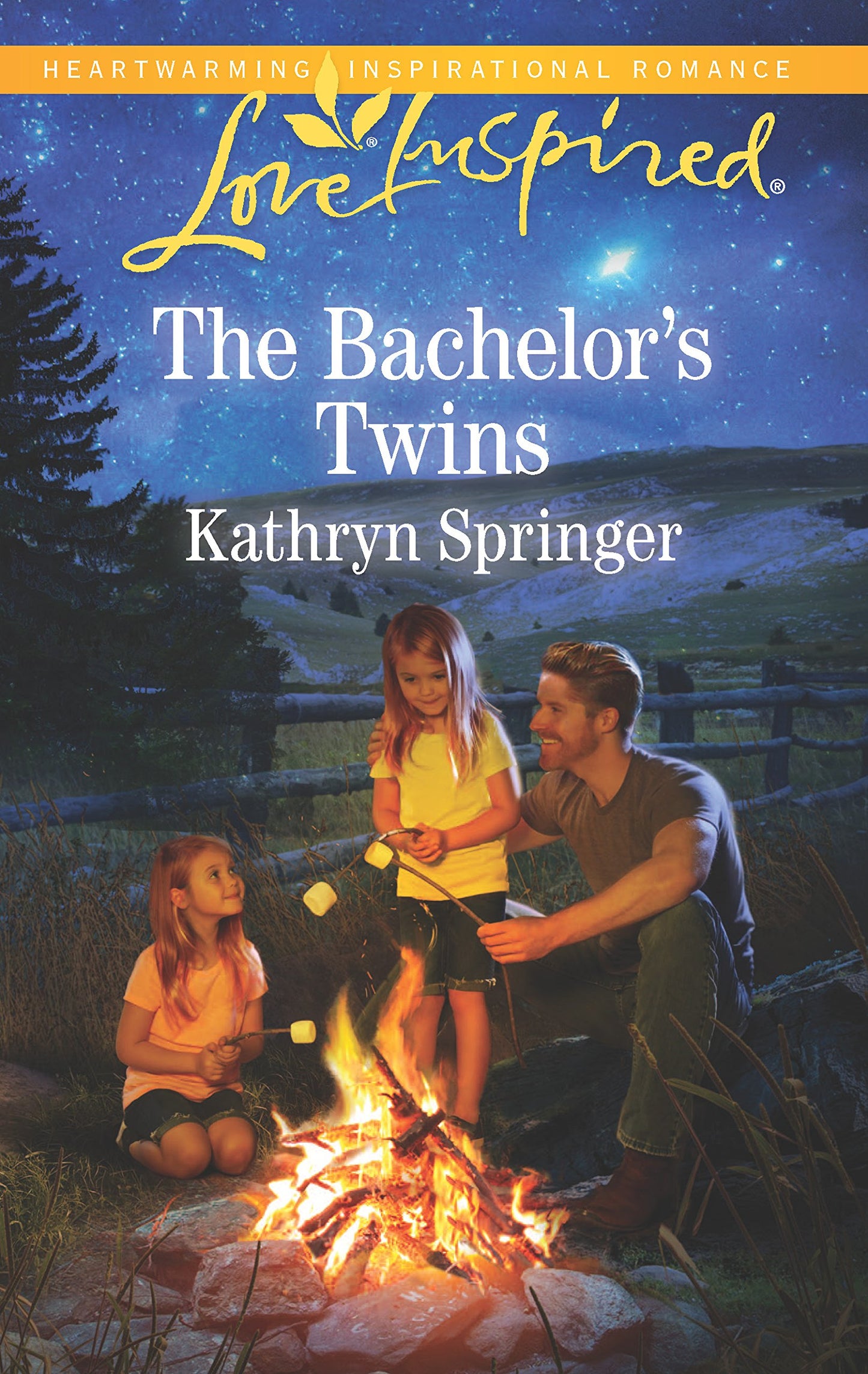The Bachelor's Twins (Castle Falls, 2) - 1893