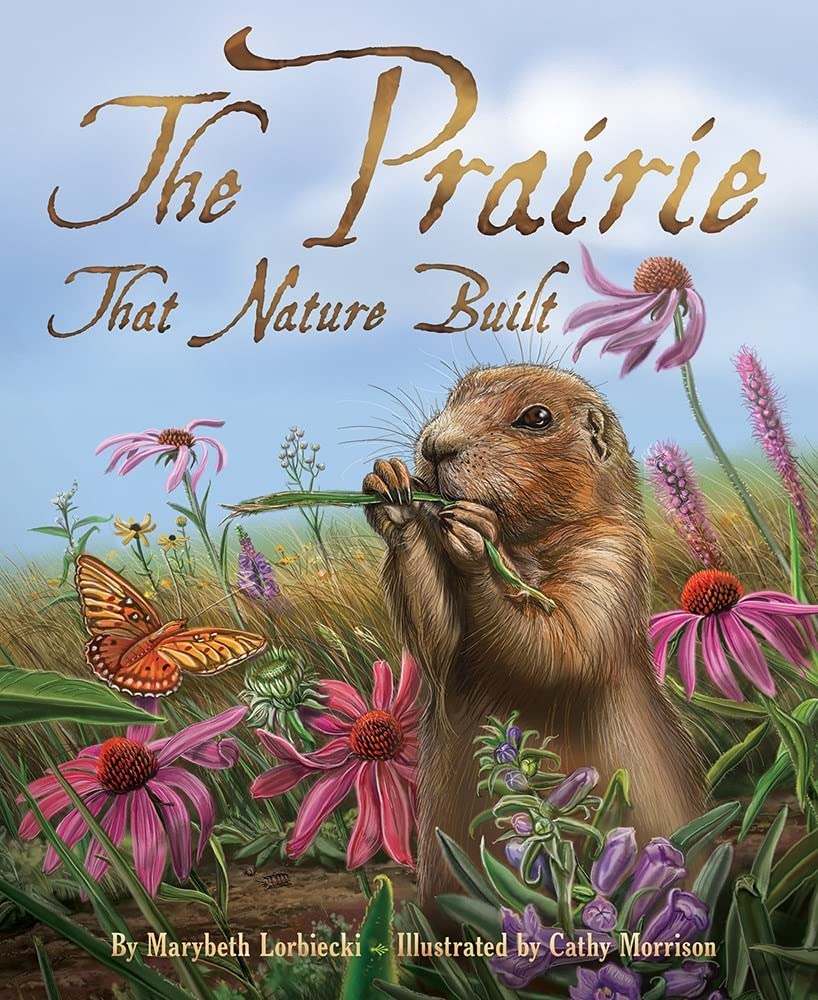 The Prairie that Nature Built - 8124