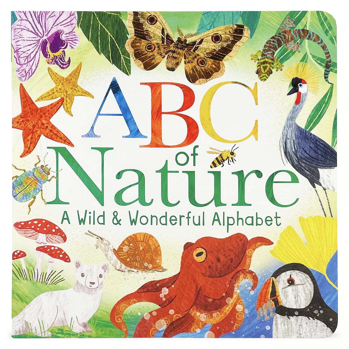 ABCs of Nature: A Wild & Wonderful Alphabet Experience - ABC Learning Book for Toddlers, Kindergartners, and Curious Minds with Fun Fact Bites, Ages 1-5 - 9042