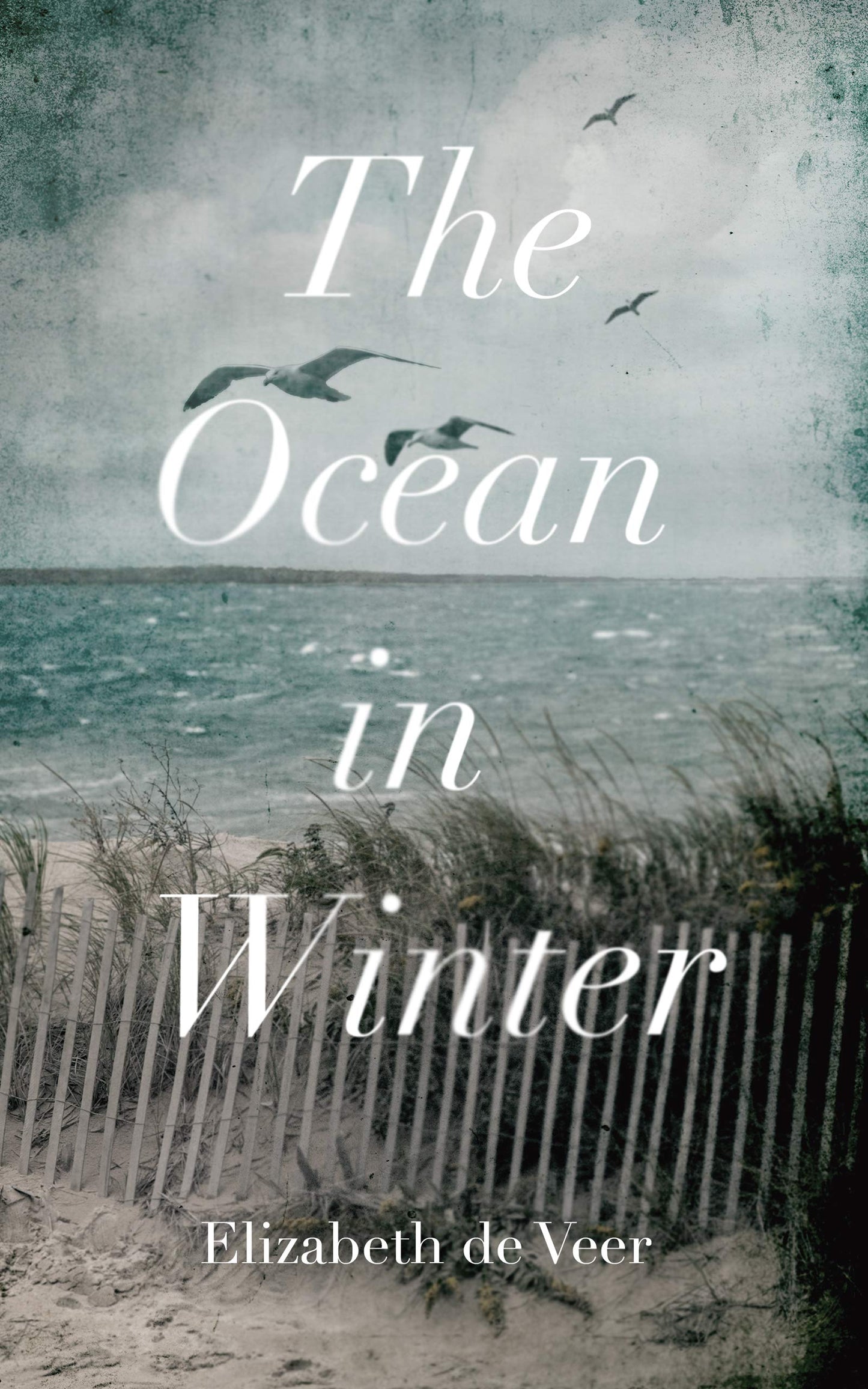 The Ocean in Winter - 2979