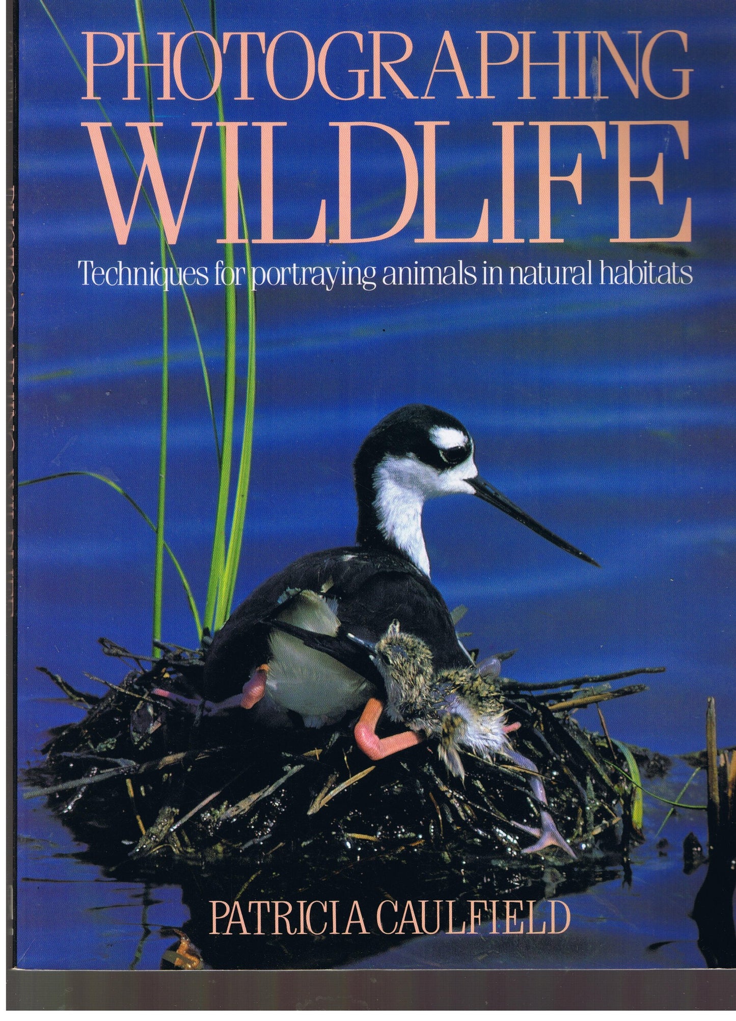 Photographing Wildlife: Techniques for Portraying Animals in Natural Habitats - 3534