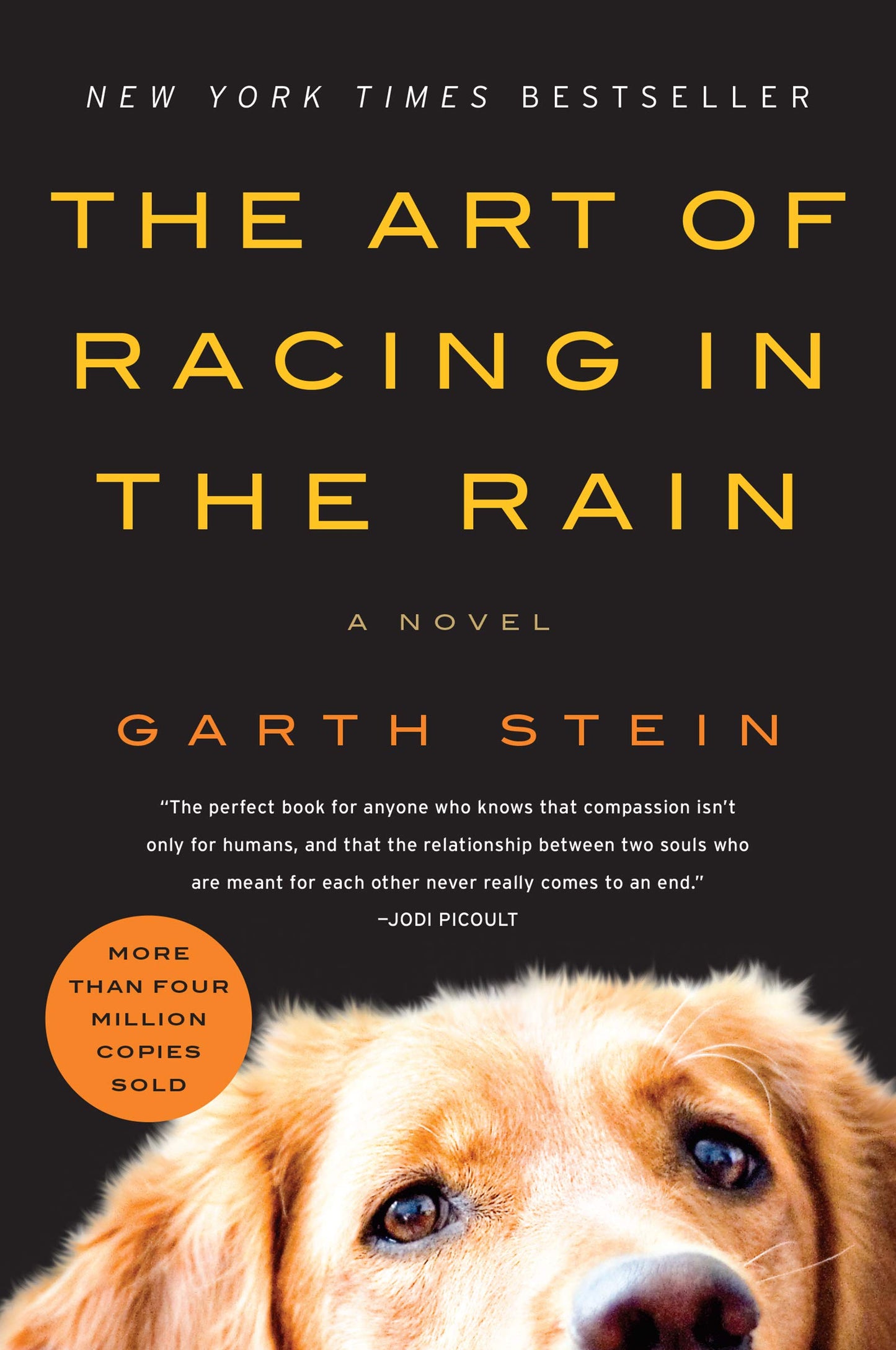 THE ART OF RACING IN THE RAIN: A - 9564