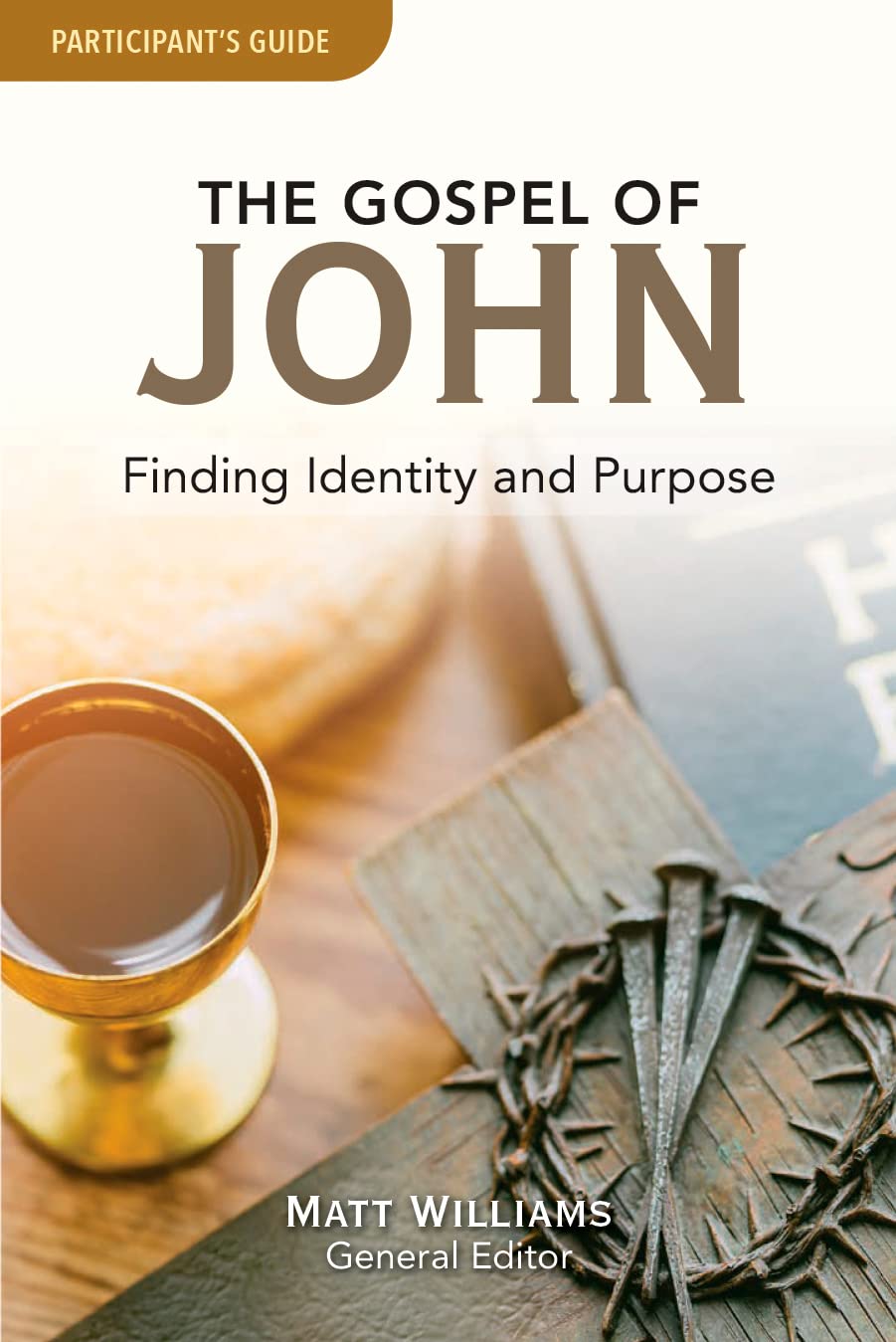 The Gospel of John Participant Guide: Finding Identity and Purpose (DVD Small Group) - 8748
