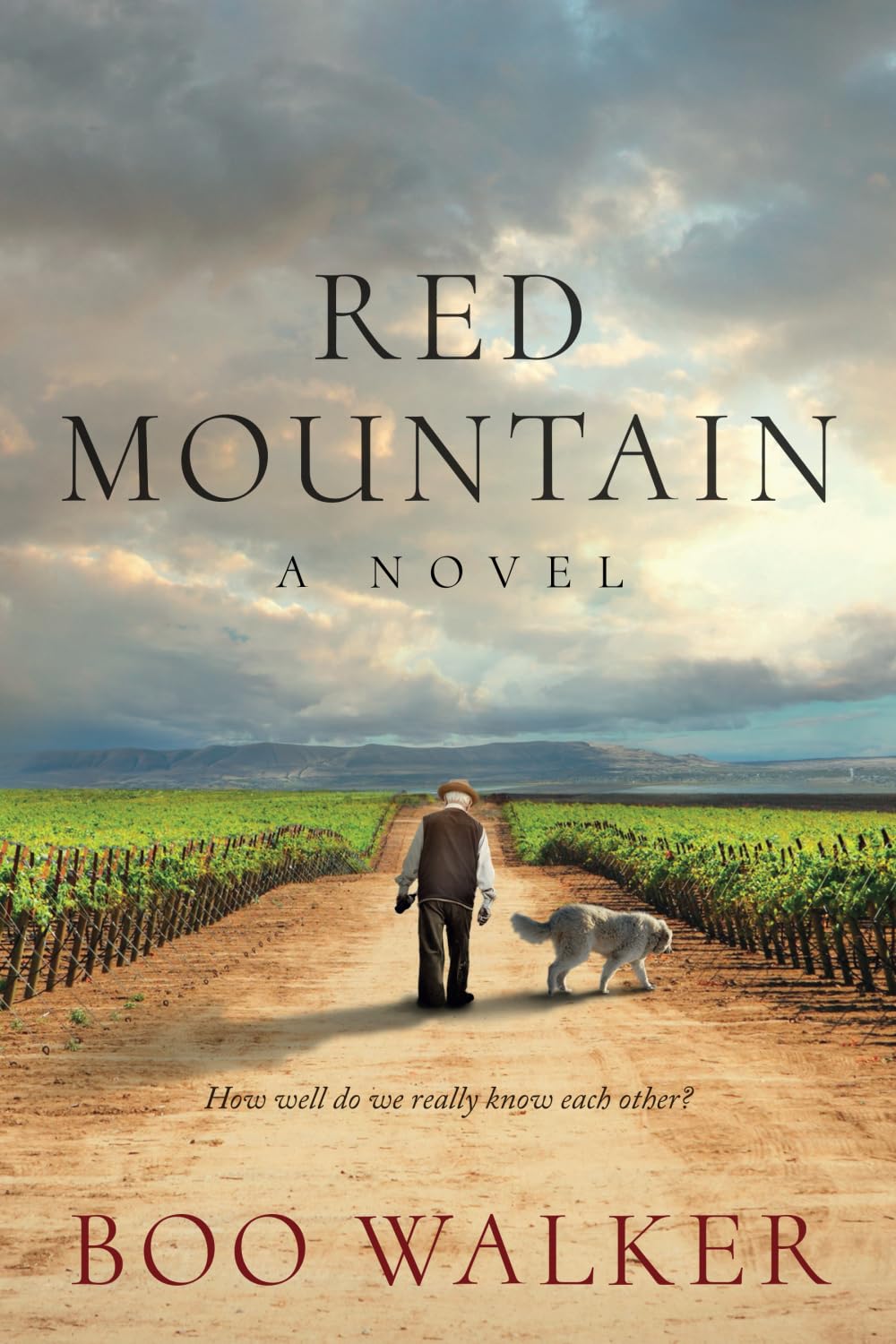 Red Mountain: A Novel (Red Mountain Chronicles) - 3632
