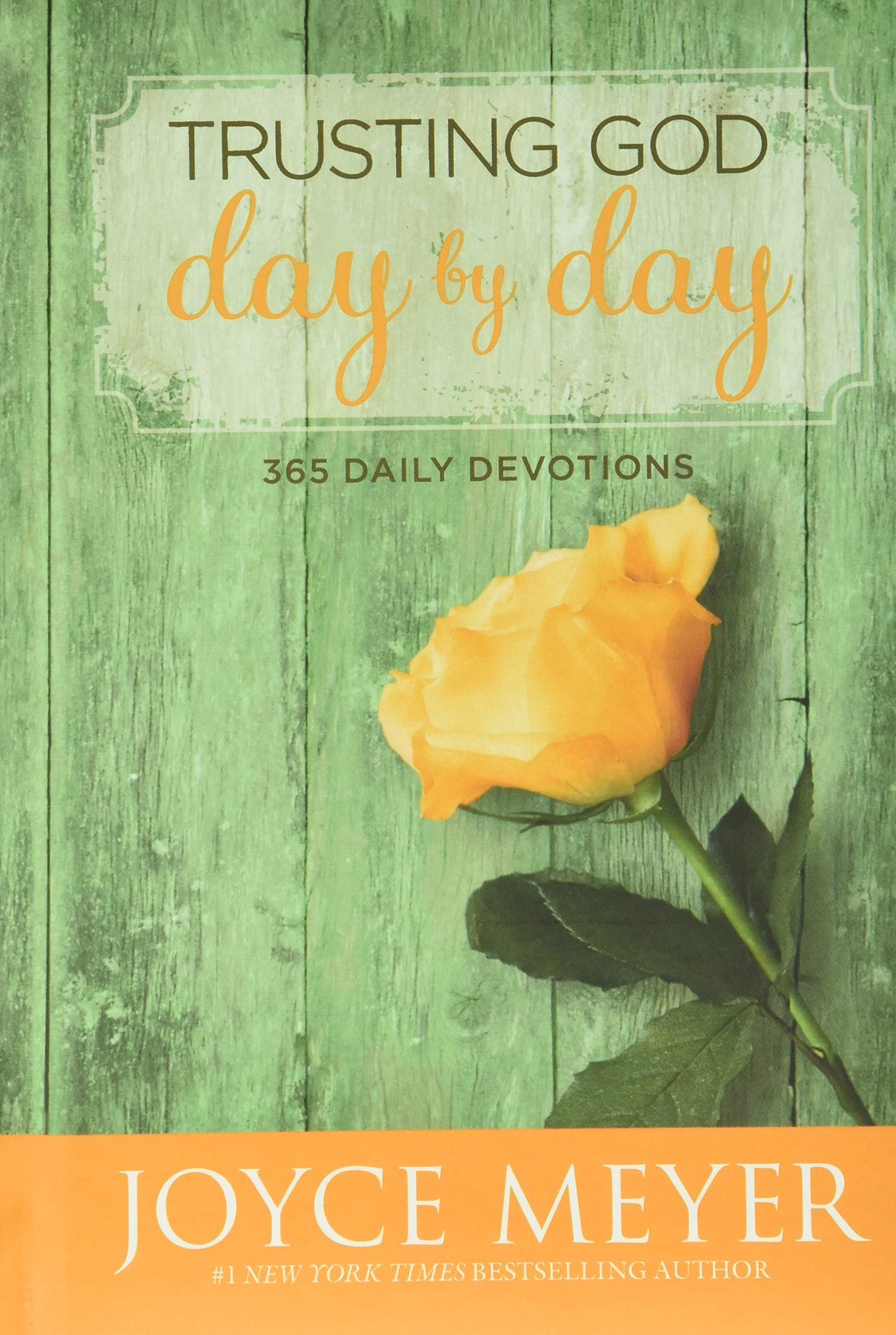 TRUSTING GOD DAY BY DAY: 365 DAI