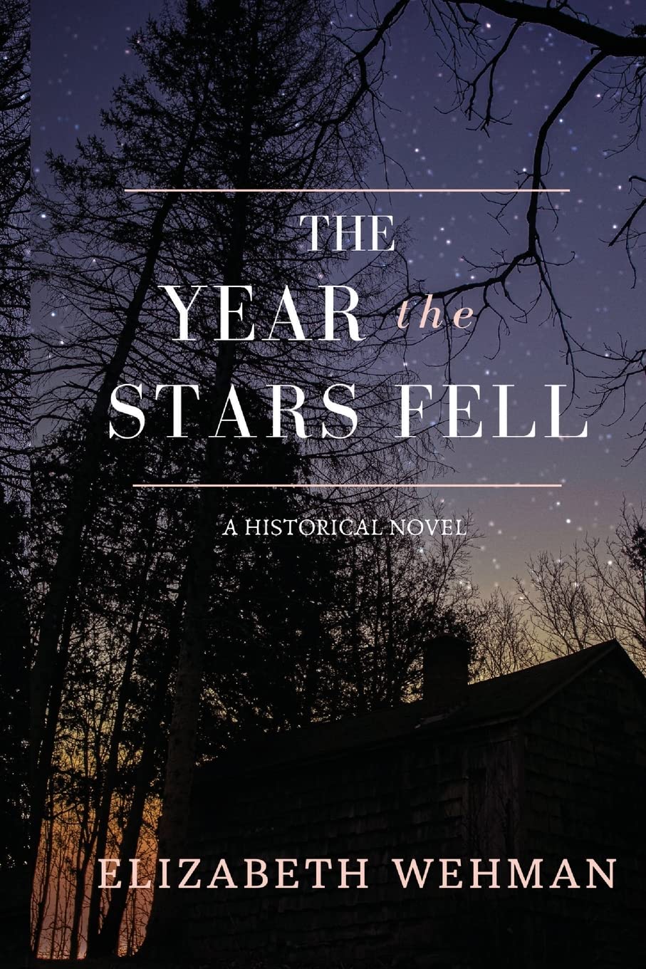 The Year the Stars Fell (The Newburg Chronicles) - 1311