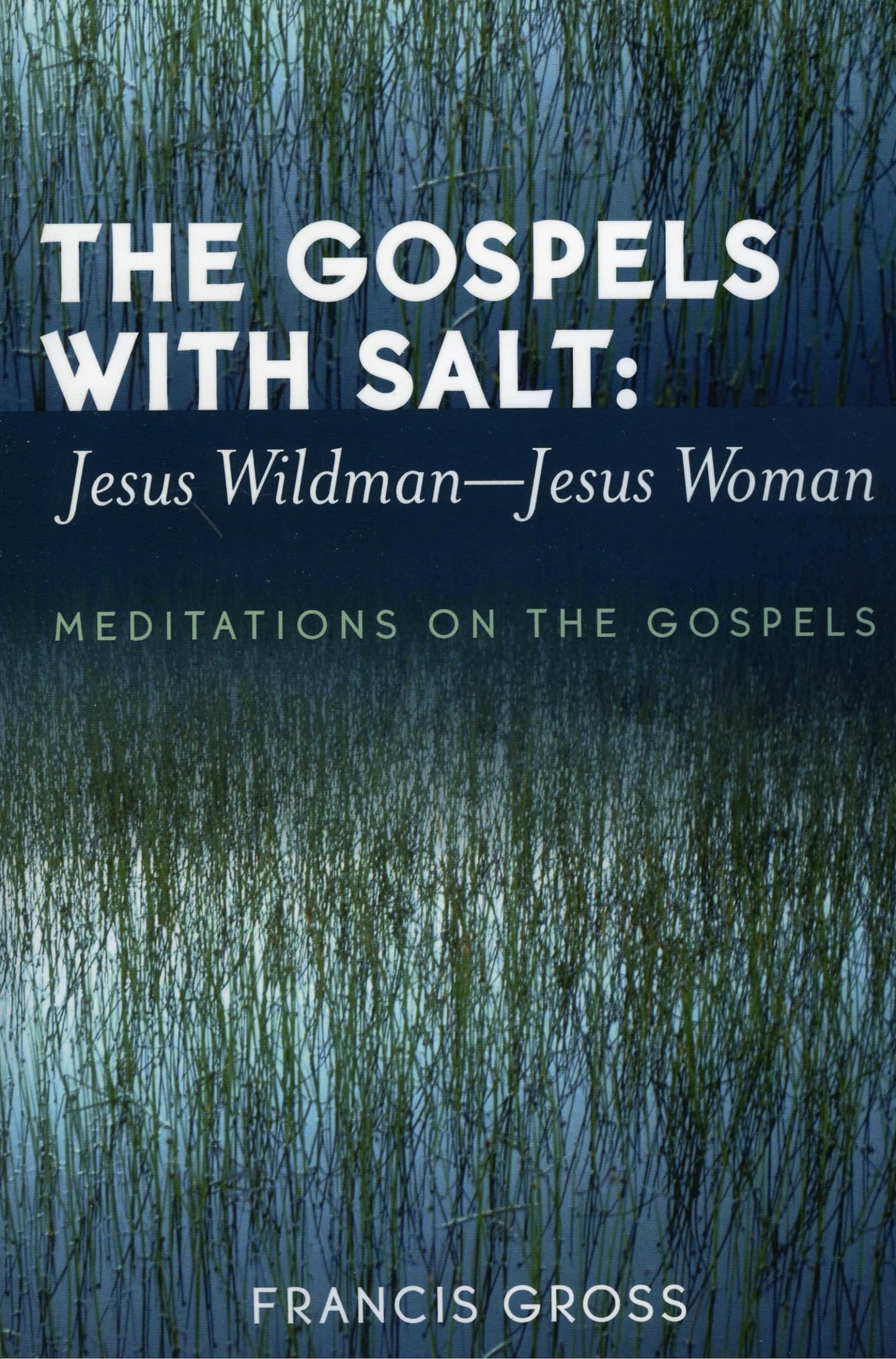 The Gospels with Salt: Jesus Wildman-Jesus Woman: Meditations on the Gospels - 4078