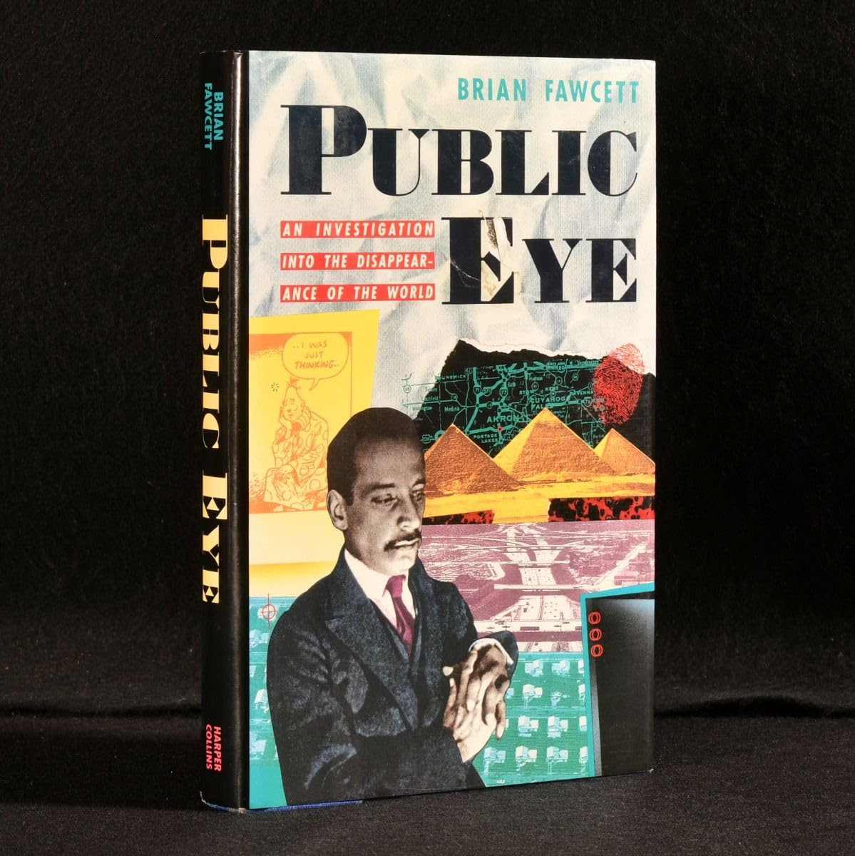 PUBLIC EYE, An Investigation into the Disappearance of the World