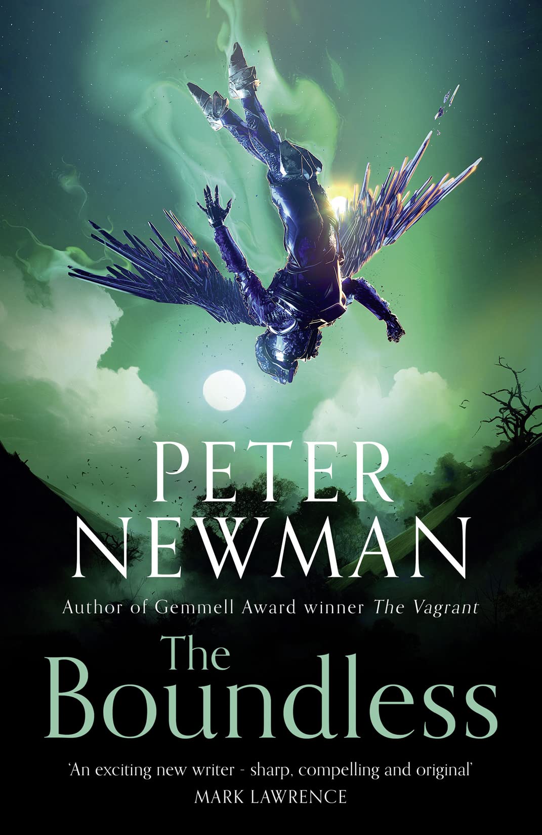 The Boundless: Epic fantasy adventure from the award-winning author of THE VAGRANT (The Deathless Trilogy) (Book 3)