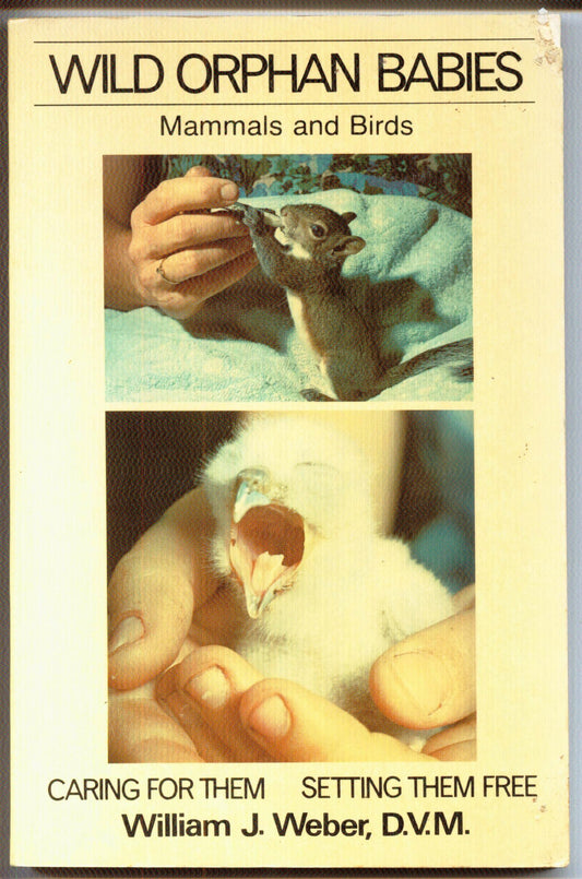Wild Orphan Babies: Mammals and Birds : Caring for Them and Setting Them Free (Holt Owlet)