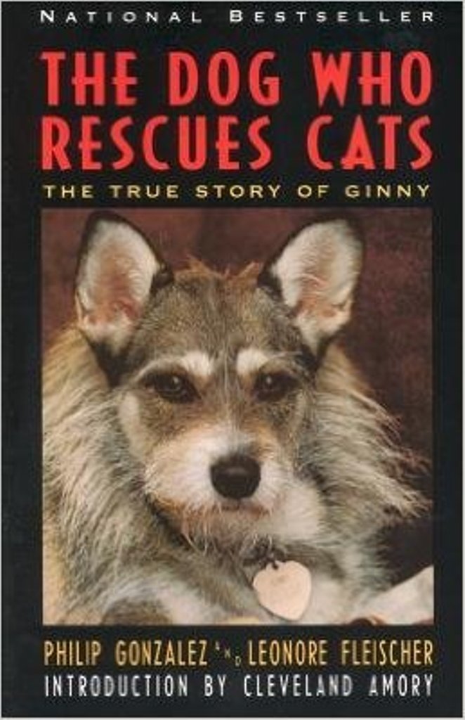 The Dog Who Rescues Cats: The True Story of Ginny