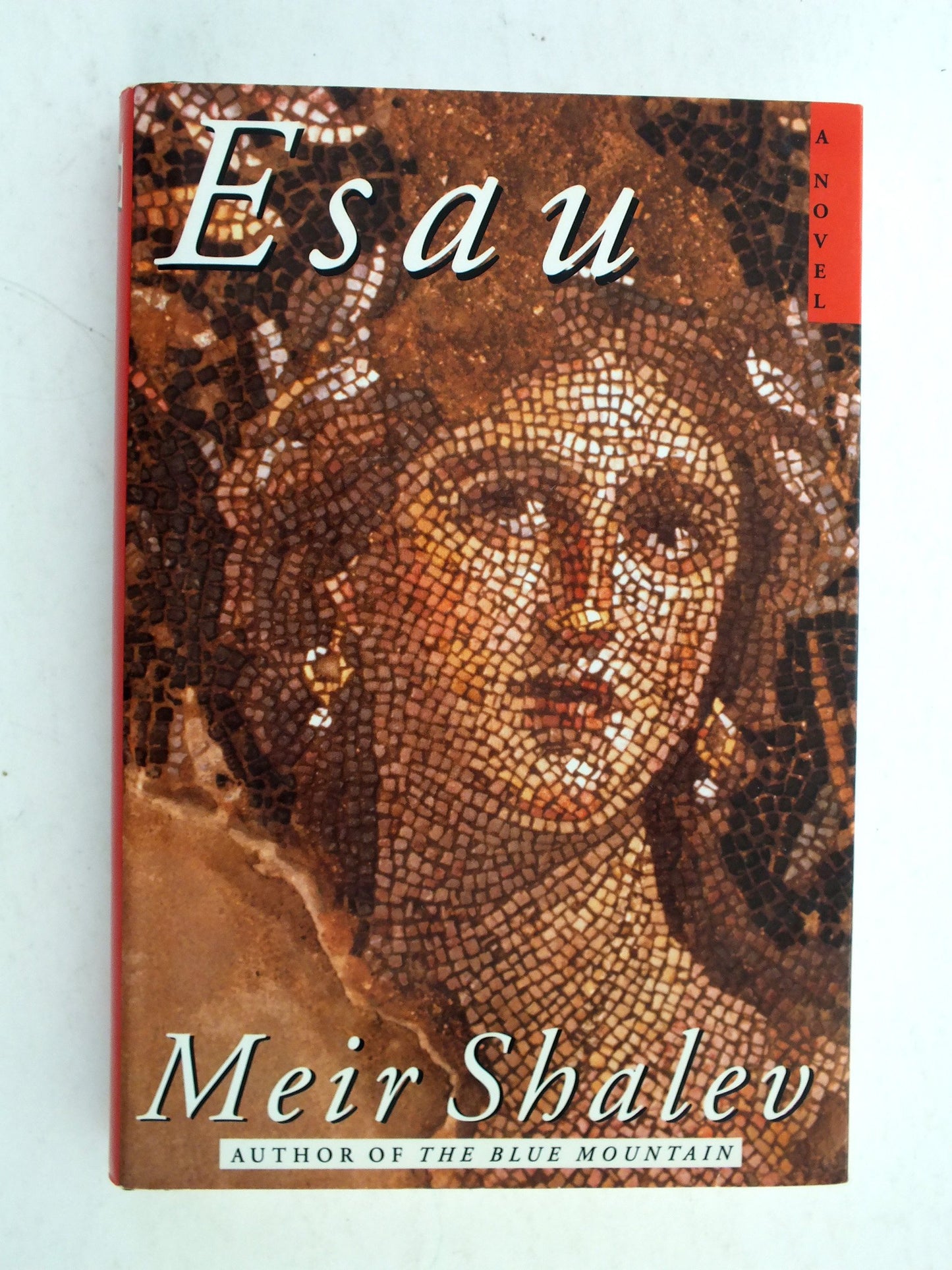 Esau: A Novel