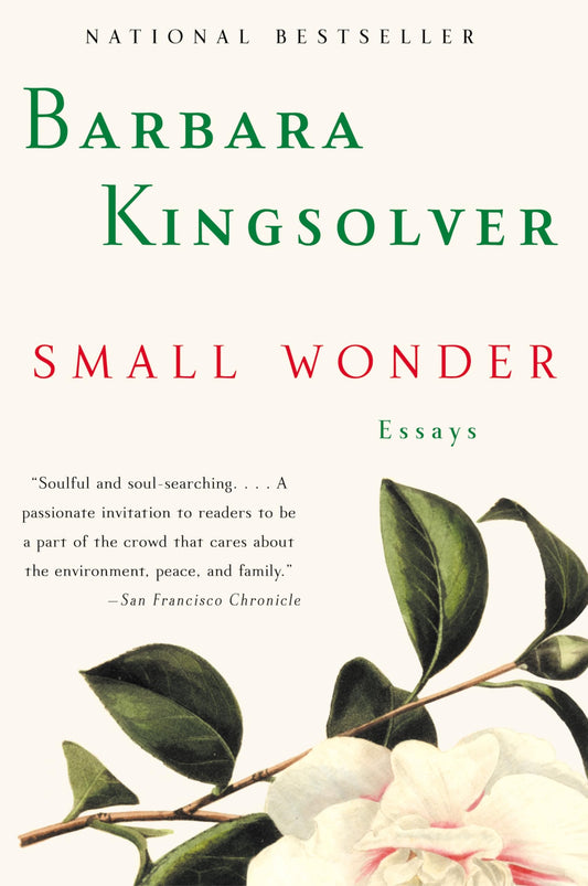 SMALL WONDER: ESSAYS - 17