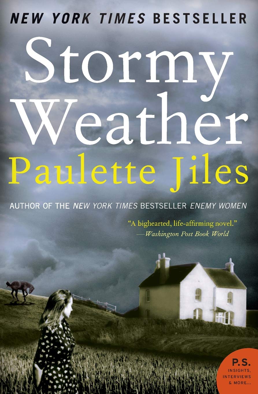 Stormy Weather: A Novel (P.S.)