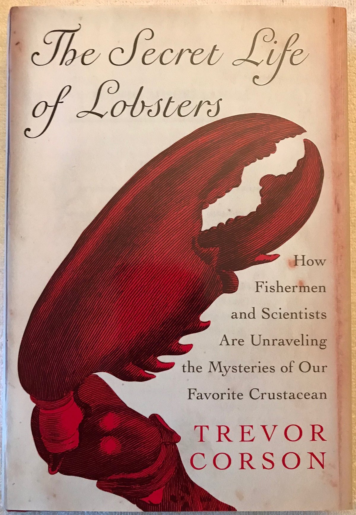 The Secret Life of Lobsters: How Fishermen and Scientists Are Unraveling the Mysteries of Our Favorite Crustacean