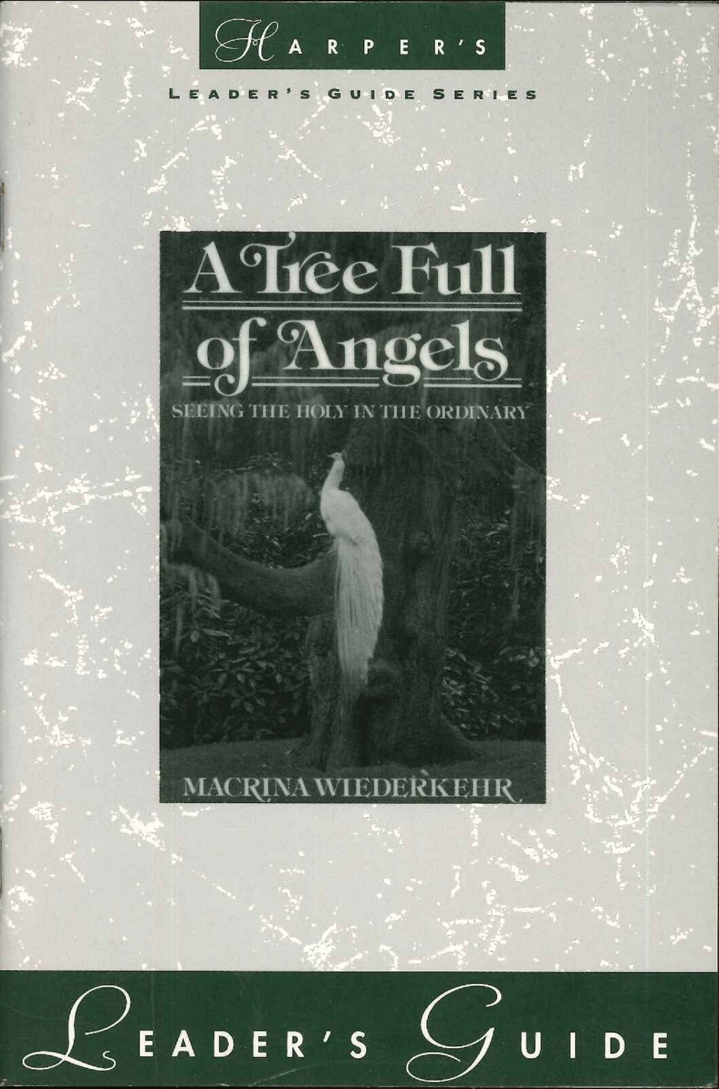 A Tree Full of Angels: Leader's Guide