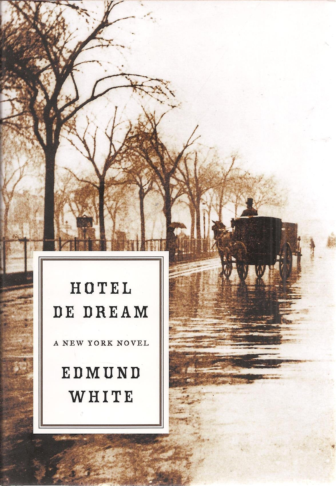 Hotel de Dream: A New York Novel