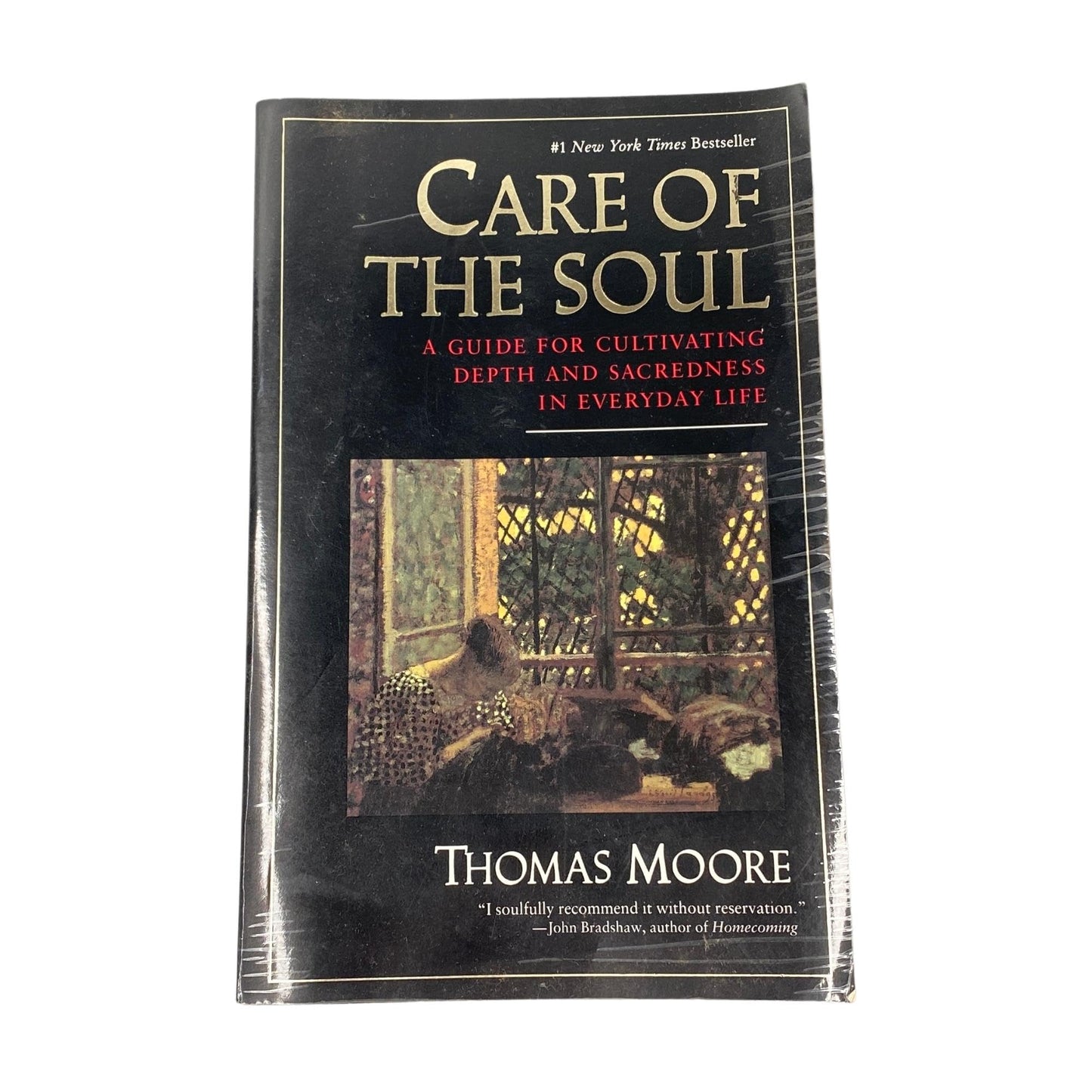 Care of the Soul : A Guide for Cultivating Depth and Sacredness in Everyday Life - 1880
