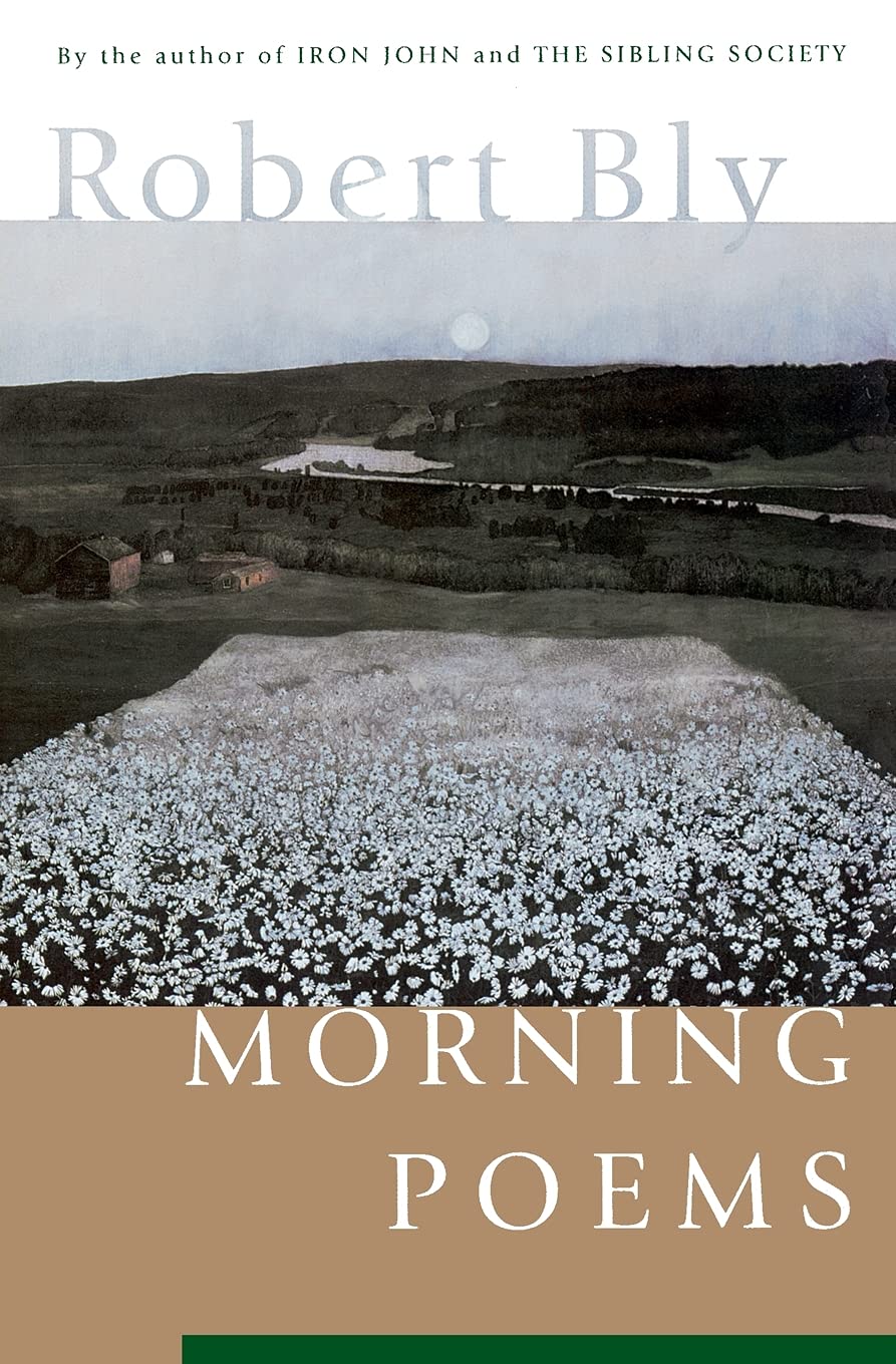 Morning Poems: A Sensational Daily Poetry Collection on Waking, Mourning, and the Mystery of Creation