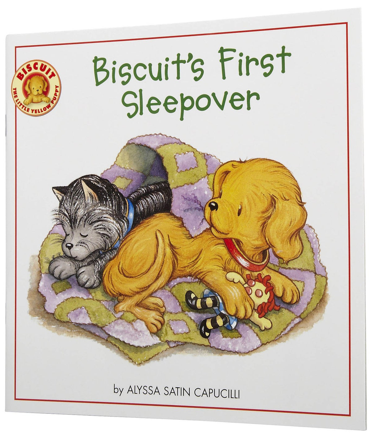 Biscuit's First Sleepover