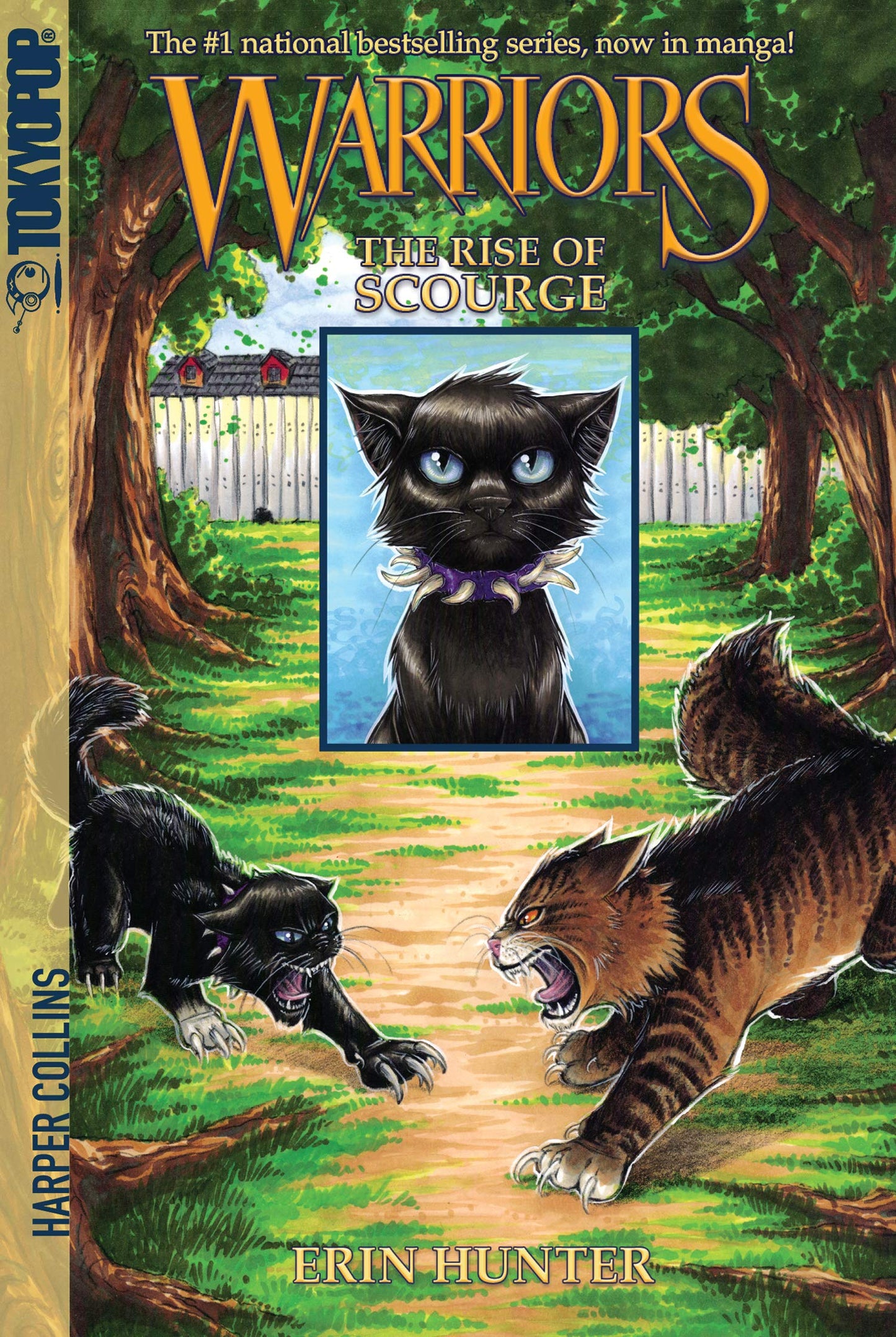 WARRIORS: THE RISE OF SCOURGE