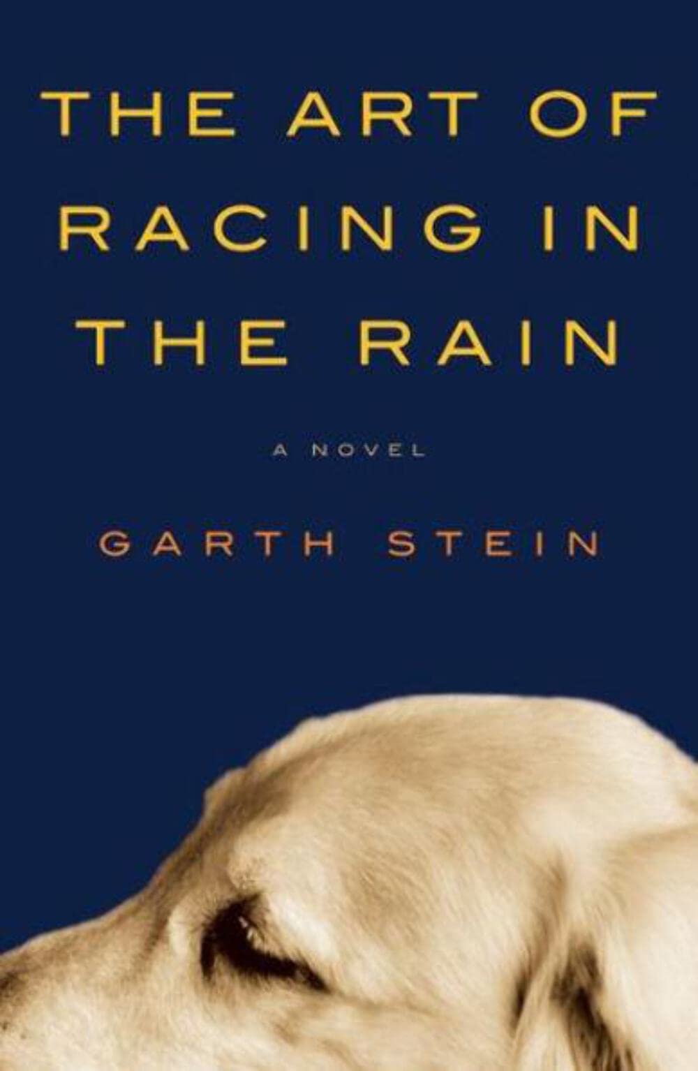 THE ART OF RACING IN THE RAIN