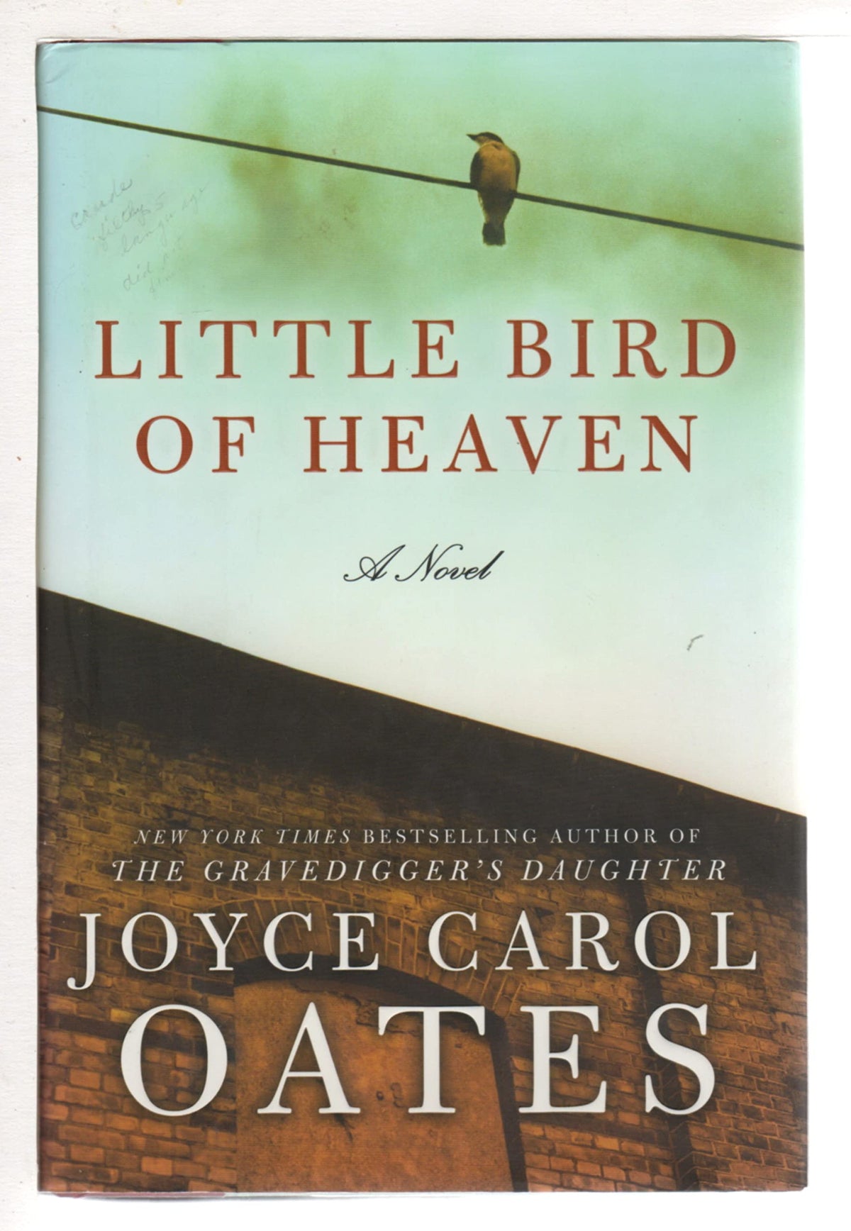 Little Bird of Heaven: A Novel