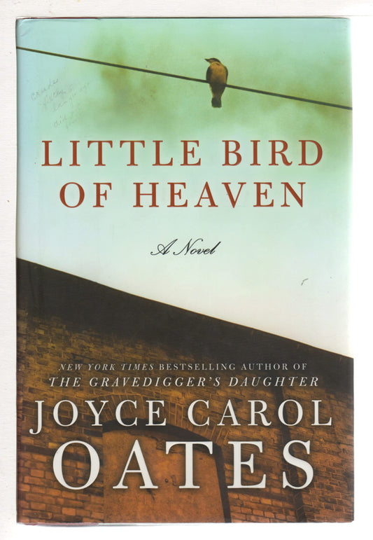 Little Bird of Heaven: A Novel