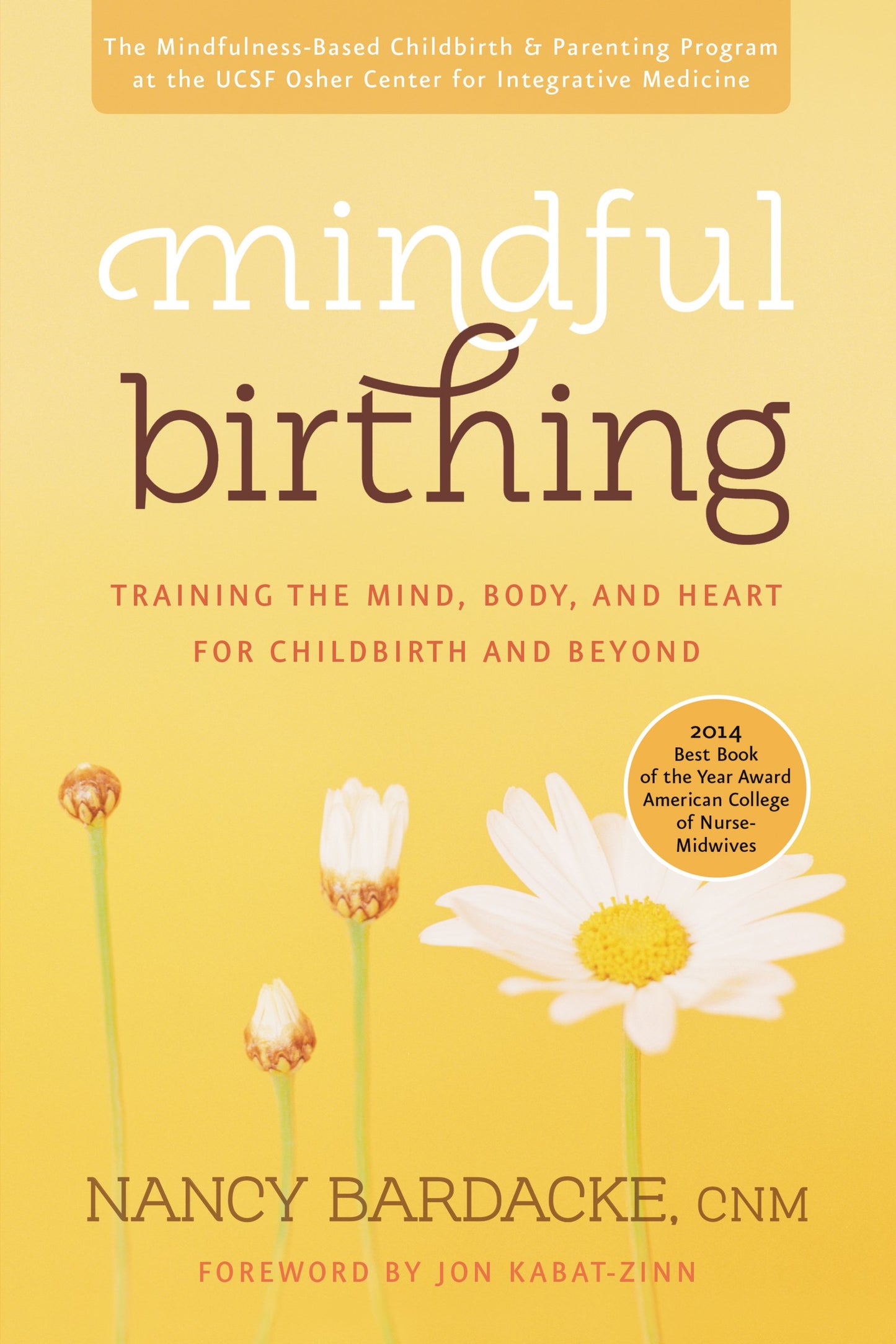 Mindful Birthing: Training the Mind, Body, and Heart for Childbirth and Beyond - 6920