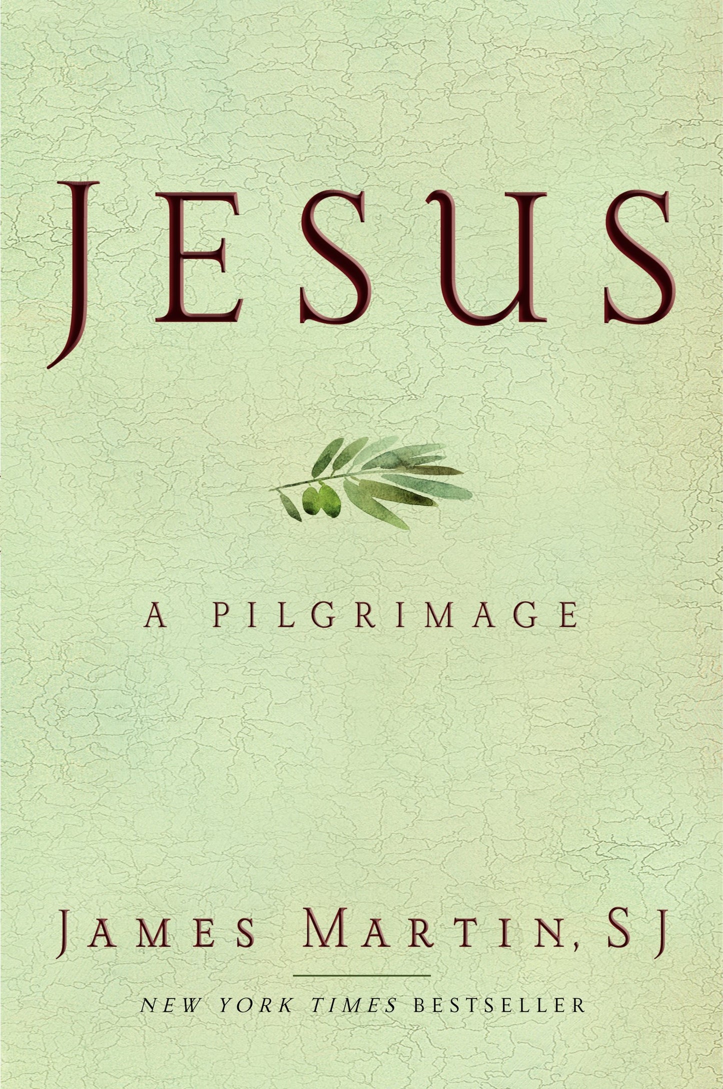 JESUS: A PILGRIMAGE - 1333