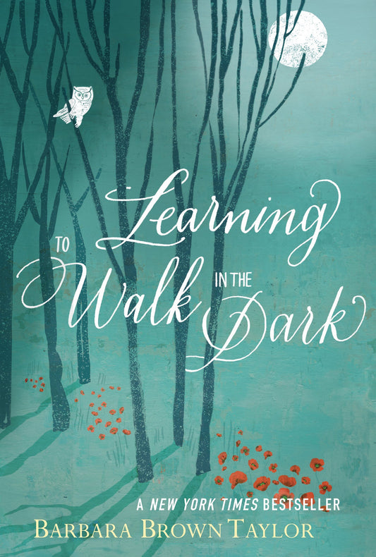LEARNING TO WALK IN THE DARK - 8619