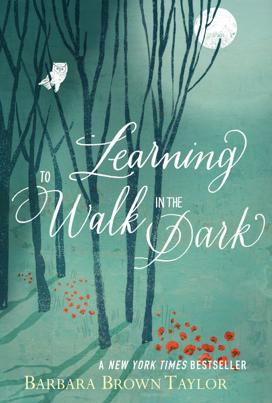 Learning to Walk in the Dark - 4584