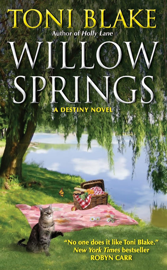 Willow Springs: A Steamy, Heartwarming Friends-to-Lovers Romance Set in Small Town Destiny (Destiny series, 5)