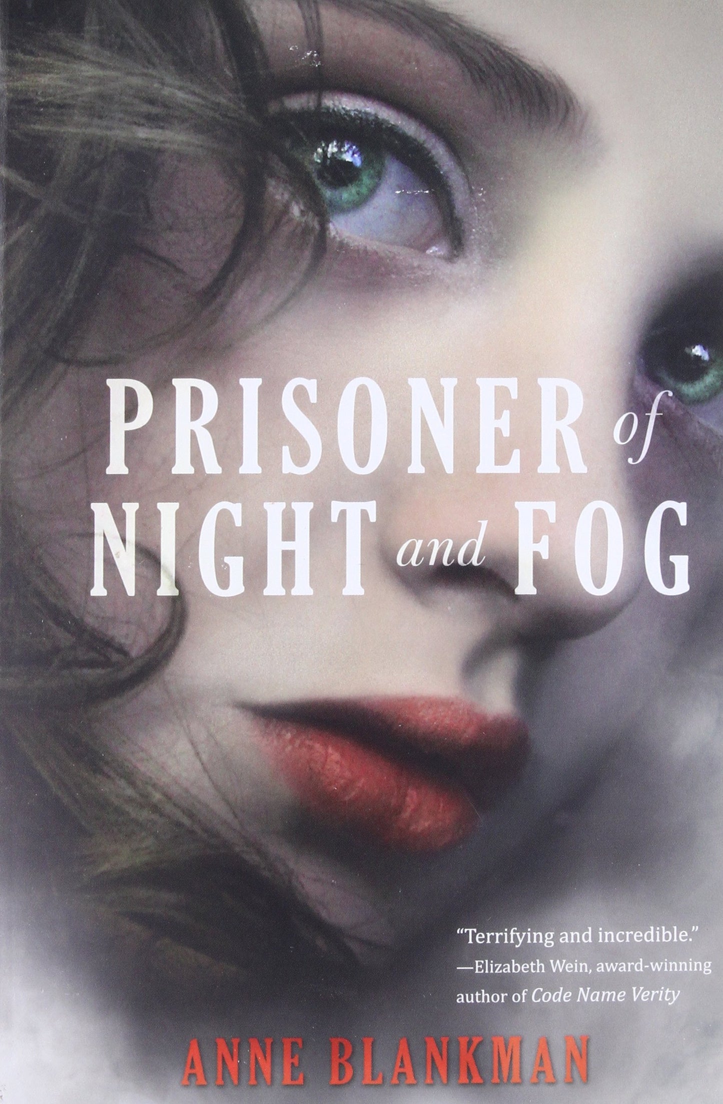 Prisoner of Night and Fog: A YA Historical Thriller of Loyalty and Secrets in 1930s Munich