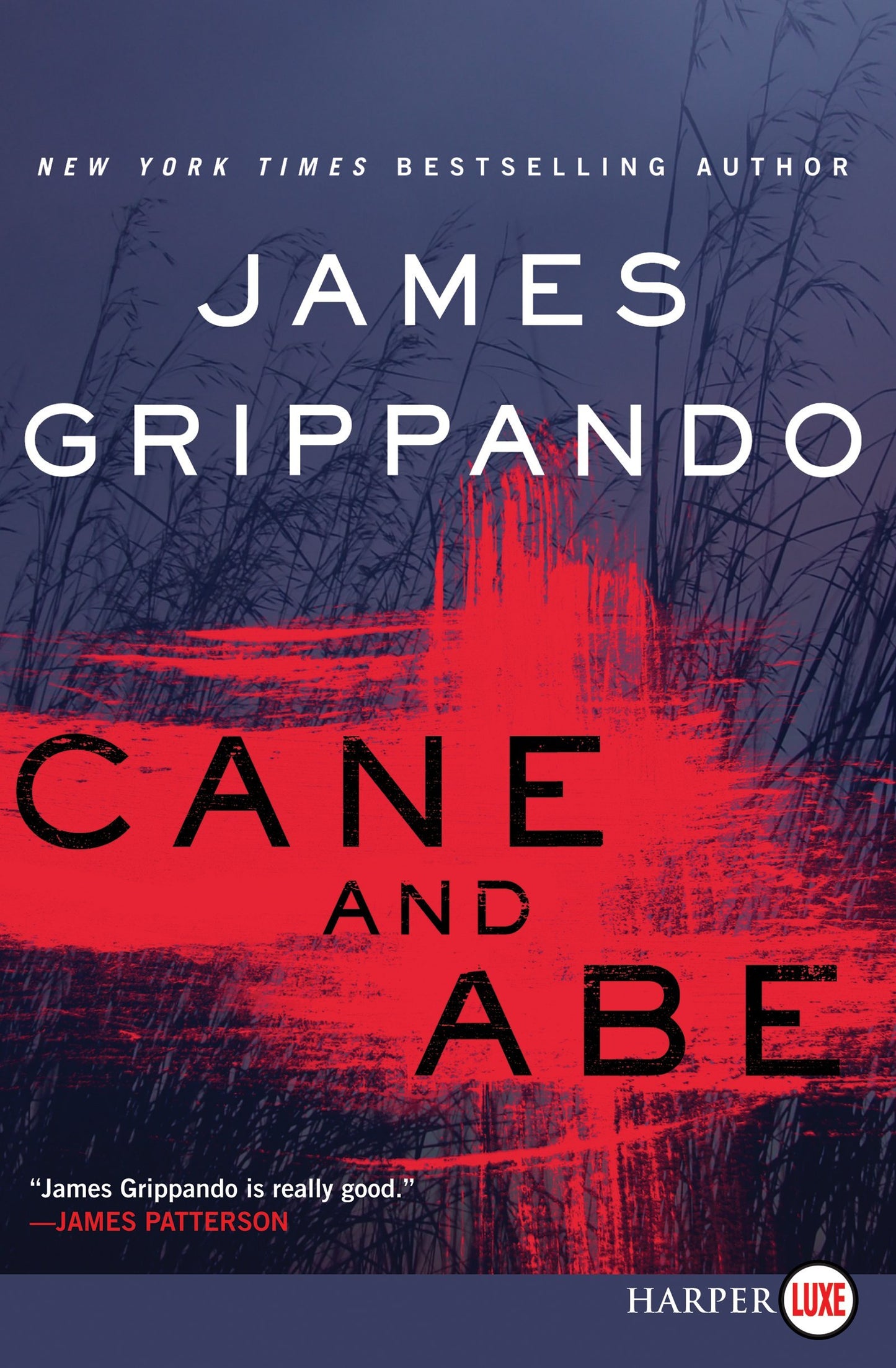 Cane and Abe: A Gripping Florida Suspense Thriller – A Prosecutor Becomes the Prime Suspect in His Wife's Disappearance