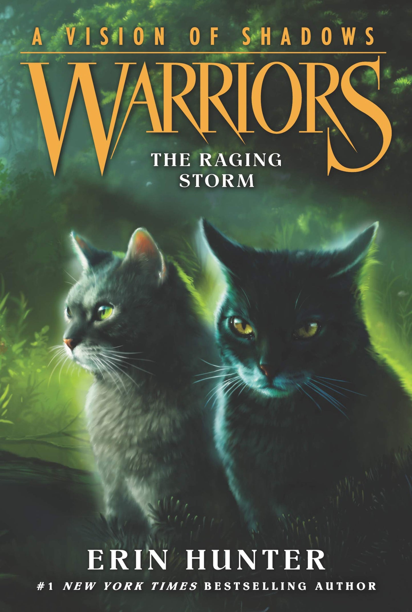 Warriors: A Vision of Shadows #6: The Raging Storm - 7999