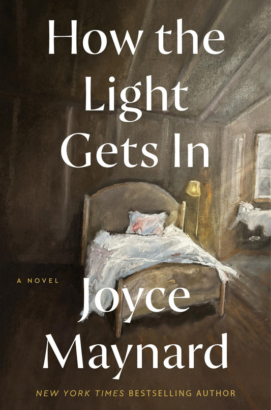 How the Light Gets In: A Heartfelt Novel of Resilience, Redemption, and the Unbreakable Bonds of Family in Turbulent Times