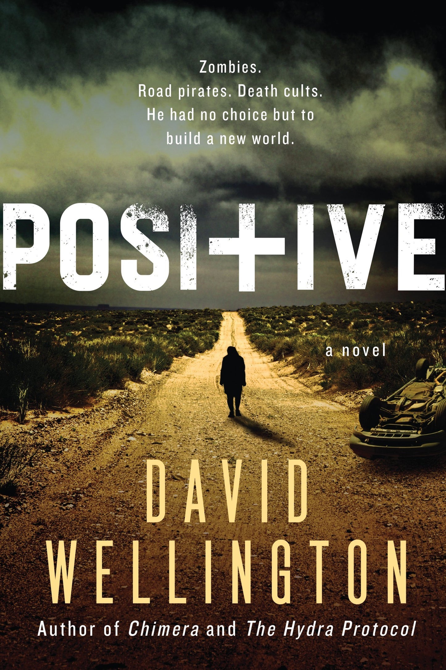 Positive: A Novel - 2007