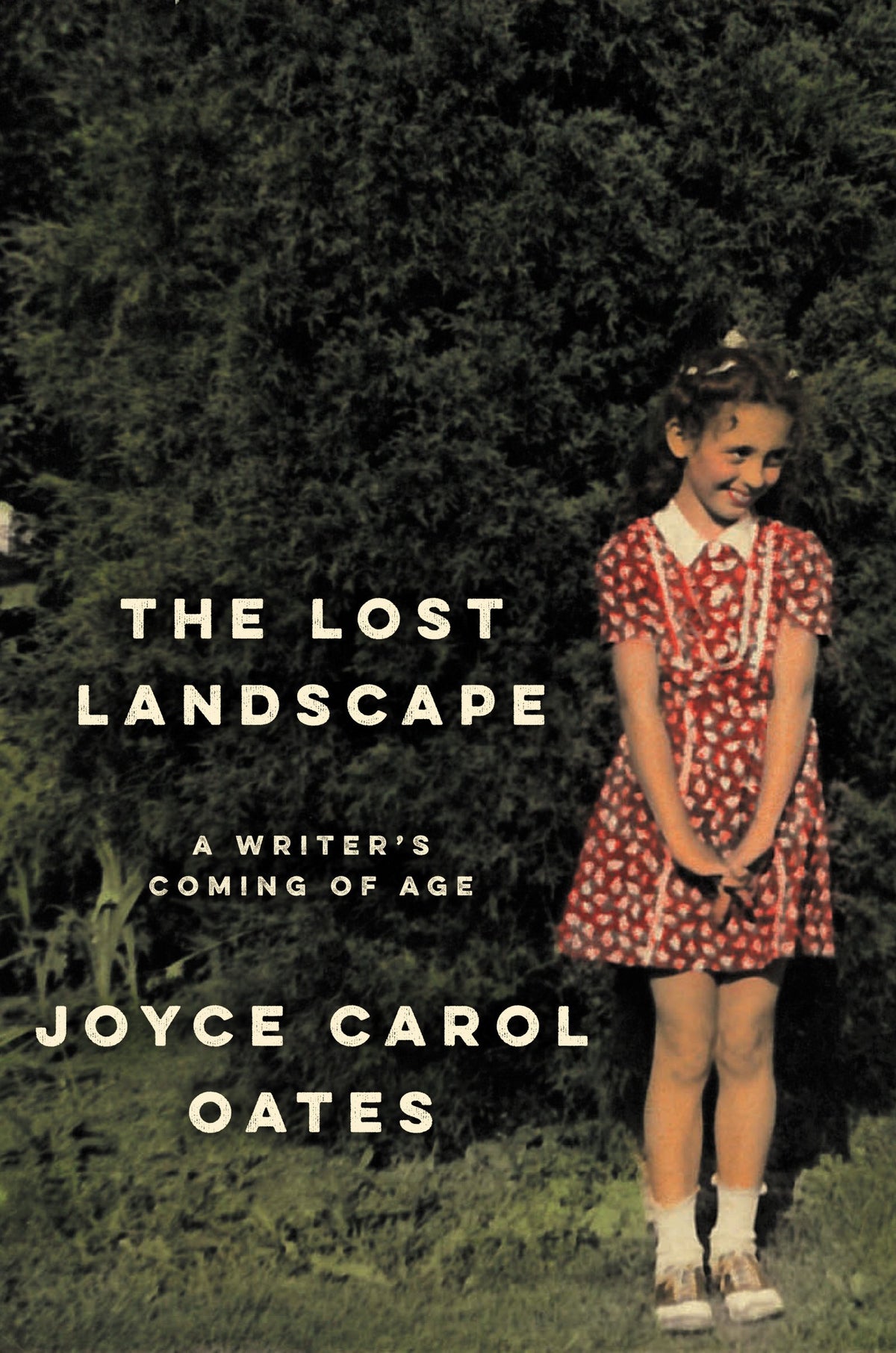 The Lost Landscape: A Writer's Coming of Age – An Honest Memoir of Rural Farm Childhood and Literary Craft