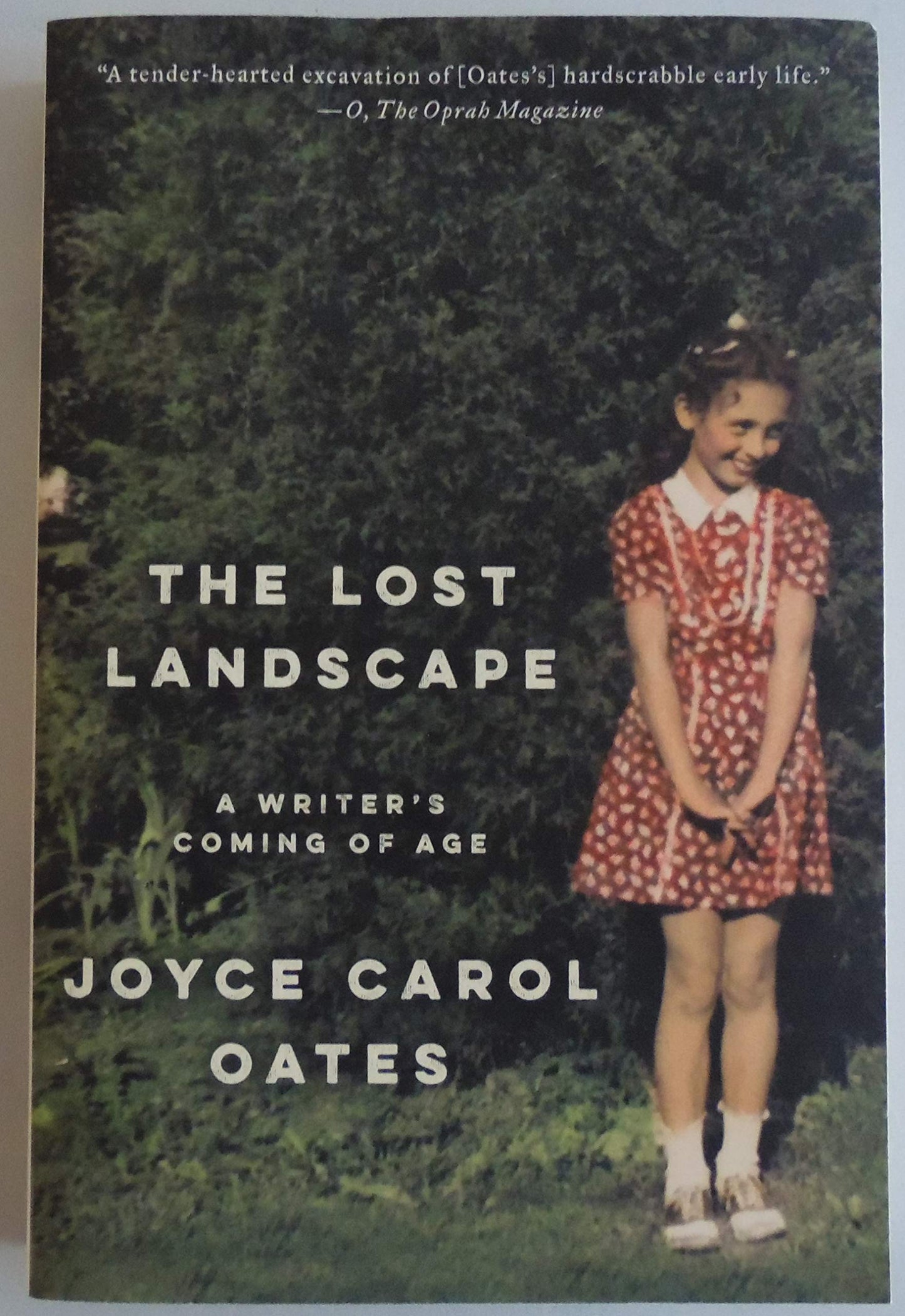 The Lost Landscape: A Writer's Coming of Age – An Honest Memoir of Rural Farm Childhood and Literary Craft
