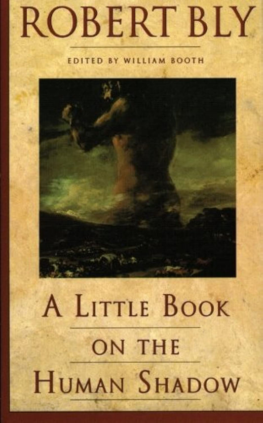 A Little Book on the Human Shadow - 5527