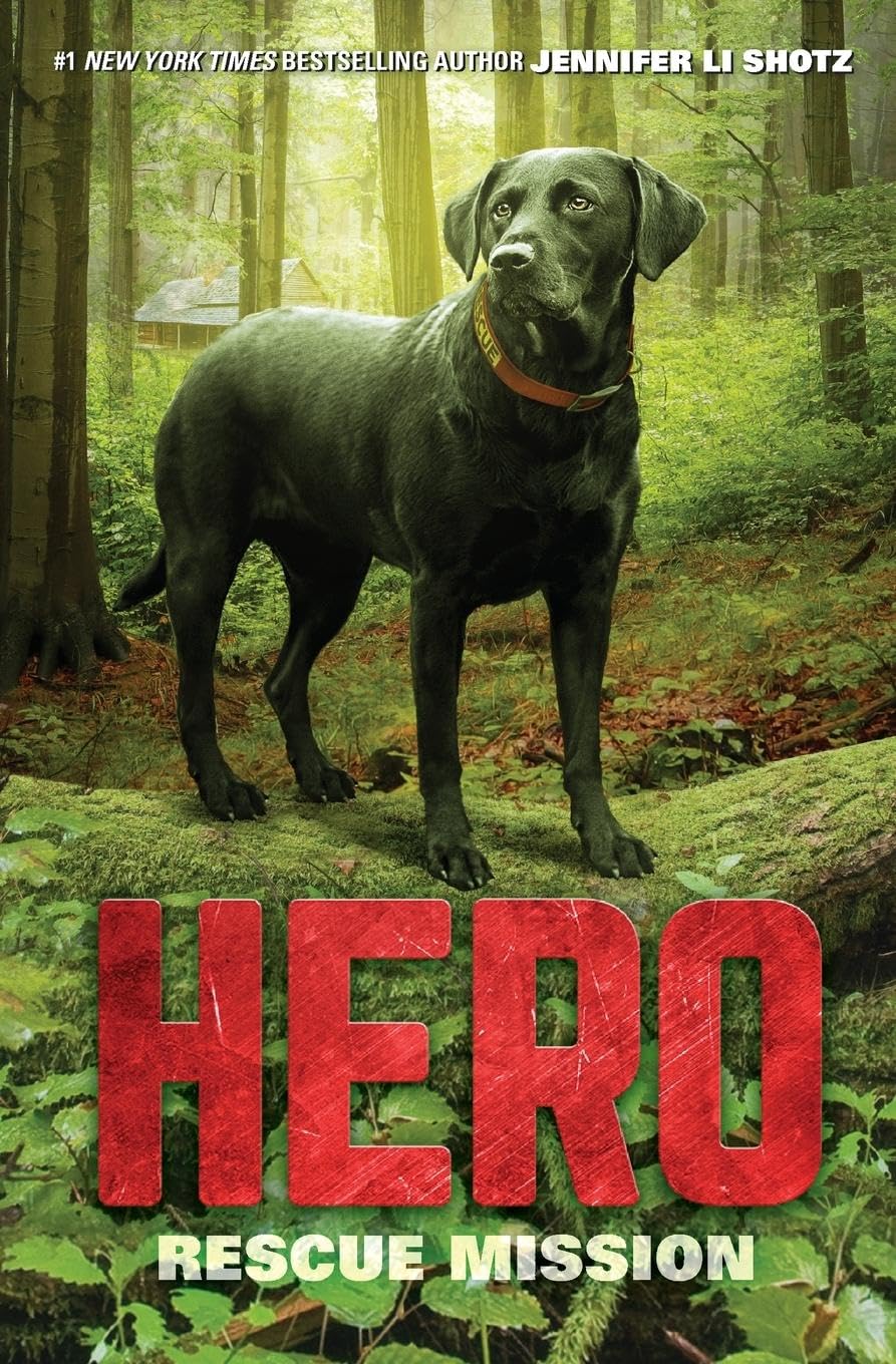 HERO: RESCUE MISSION (HERO, 3)