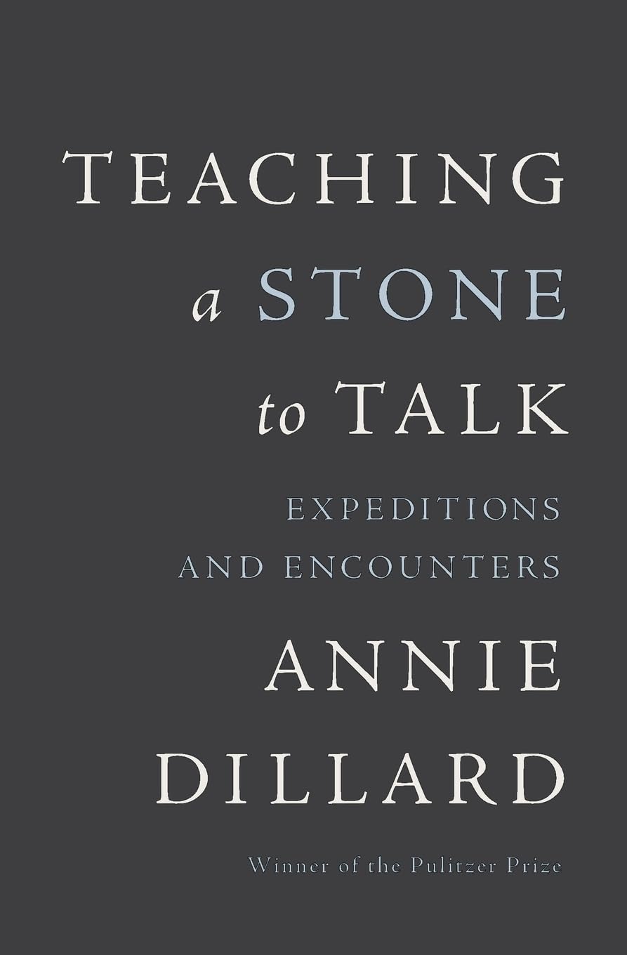 Teaching a Stone to Talk