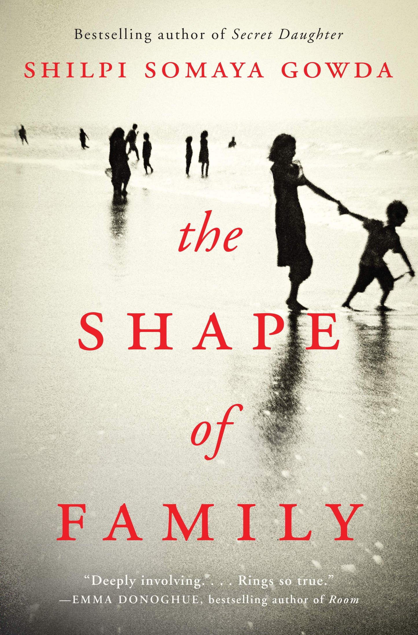 The Shape of Family: International Bestseller – A Poignant Coming of Age Family Drama About Multi-Cultural Belonging and Hope