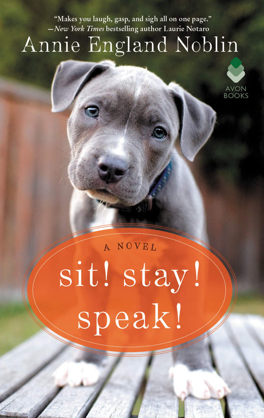Sit! Stay! Speak!: A Heartwarming Chicklit Novel About Rescue Dogs, Friendship, and Finding Love