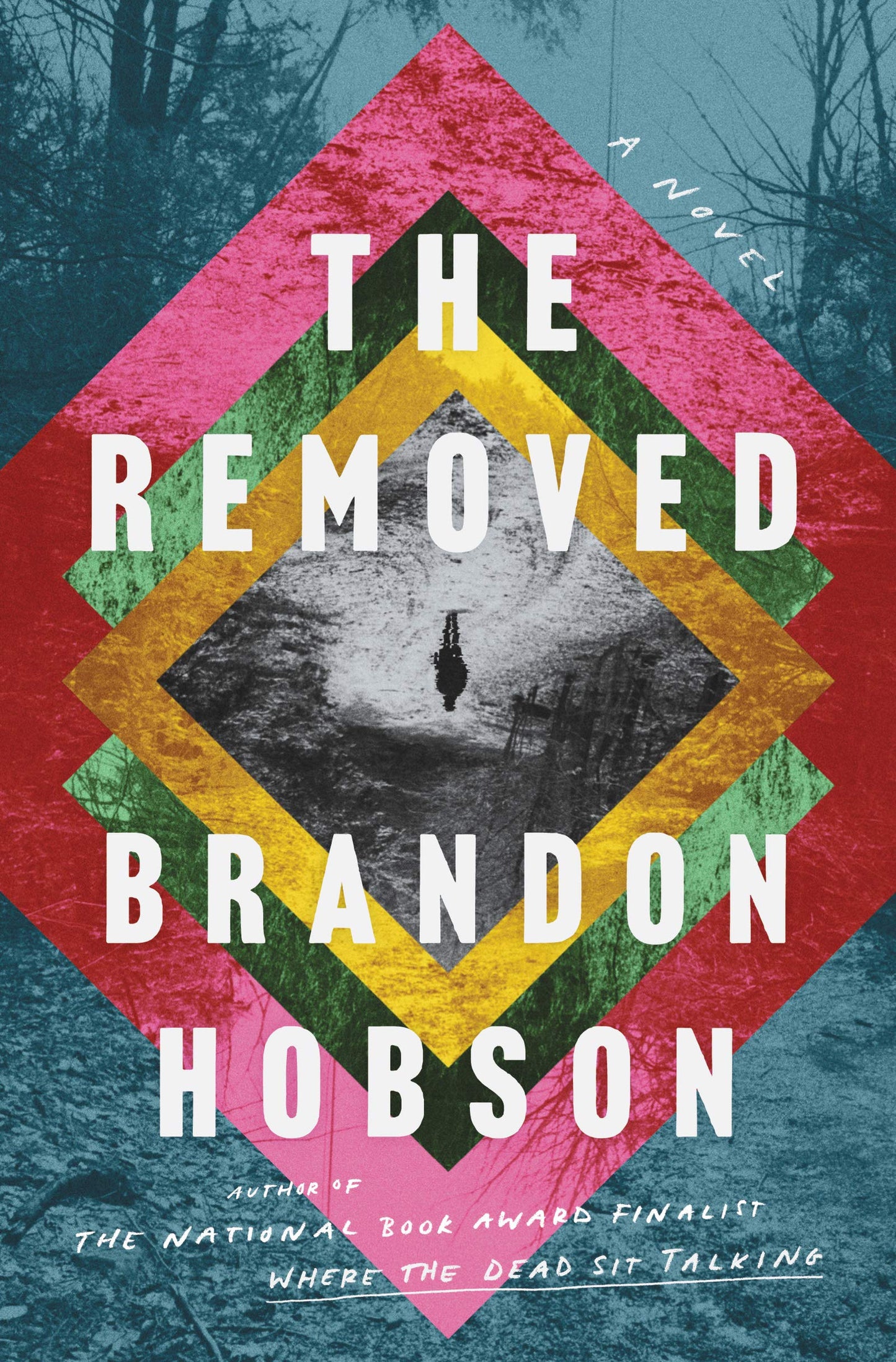 The Removed: A Haunting Story of Cherokee Folklore, Family Grief, and the Spirit World